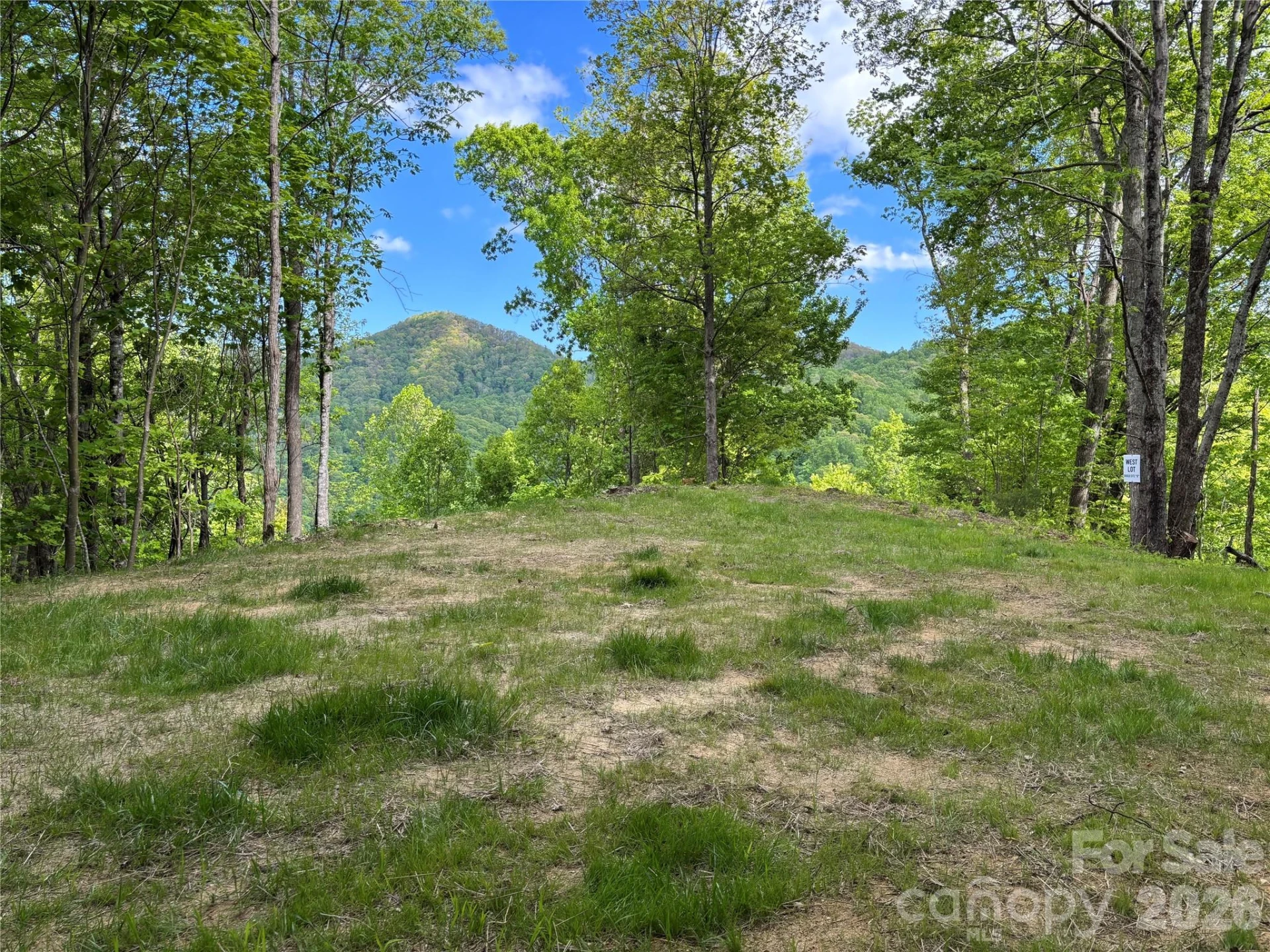 (West Lot) Meadow Fork Road - Photo 5