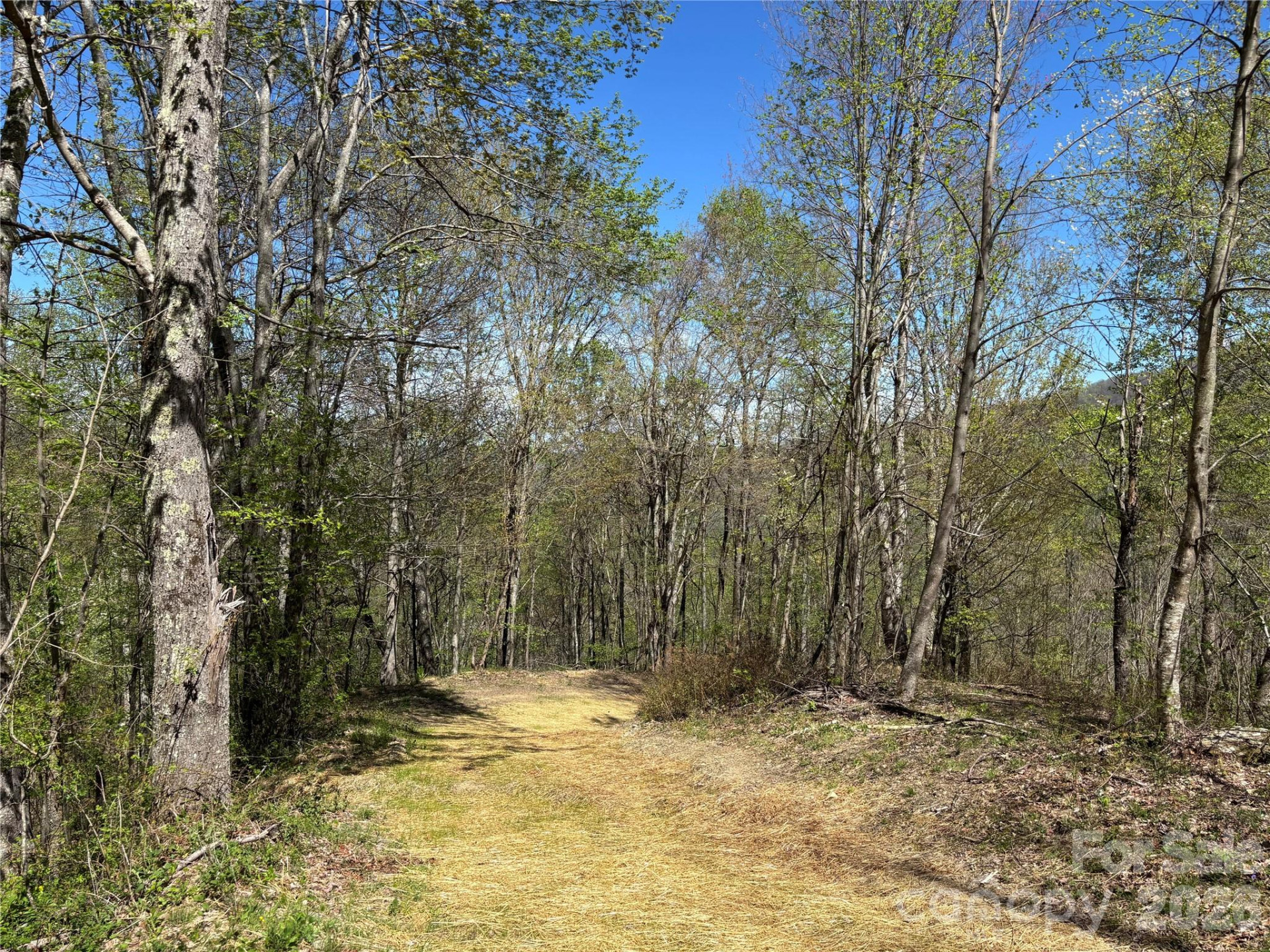 (West Lot) Meadow Fork Road - Photo 31