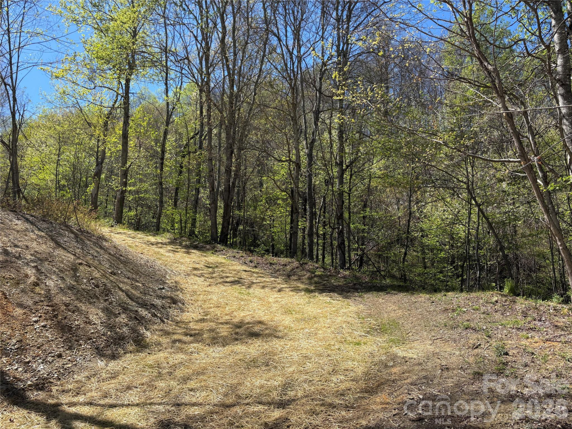 (West Lot) Meadow Fork Road - Photo 32