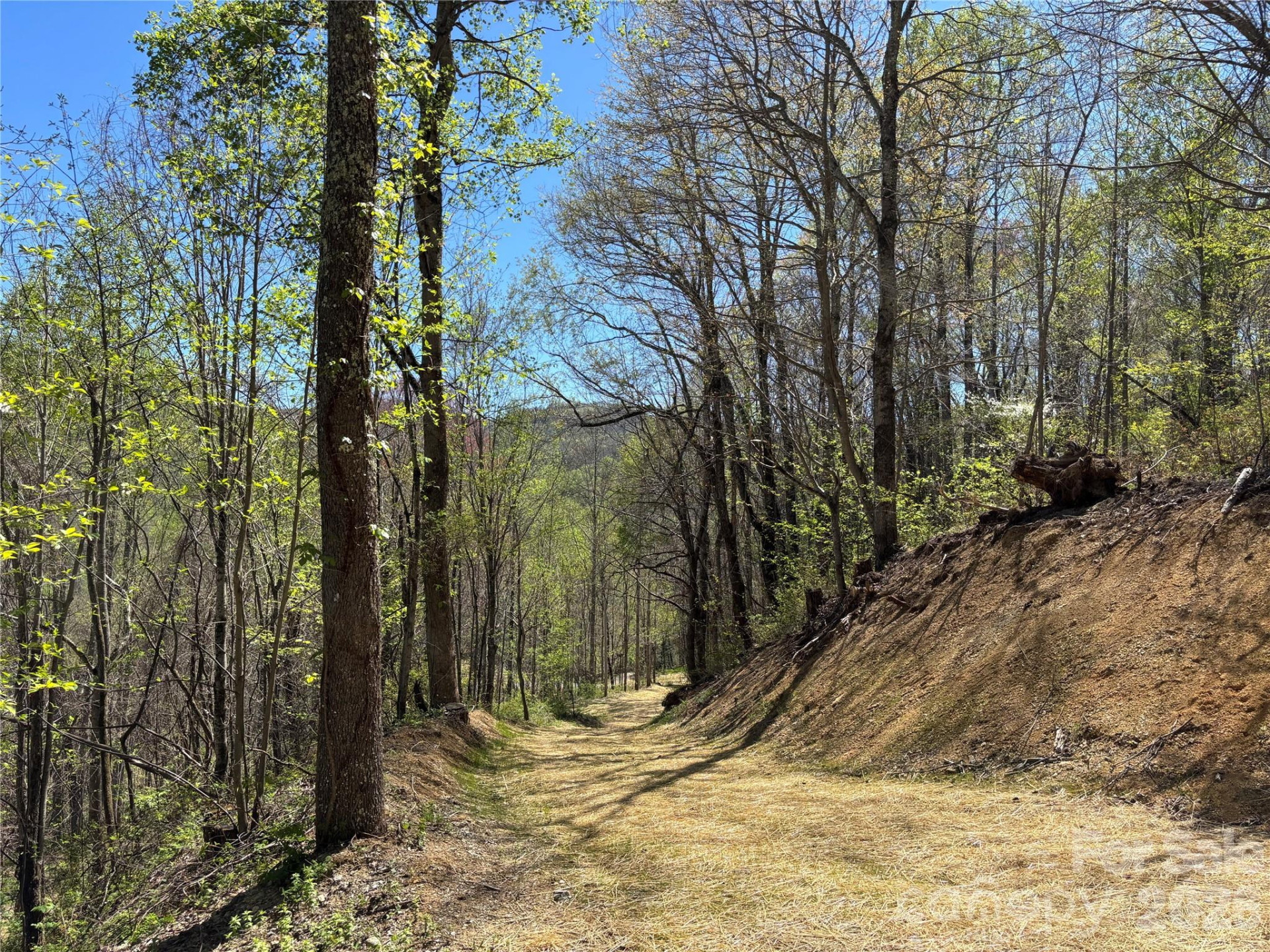 (West Lot) Meadow Fork Road - Photo 33