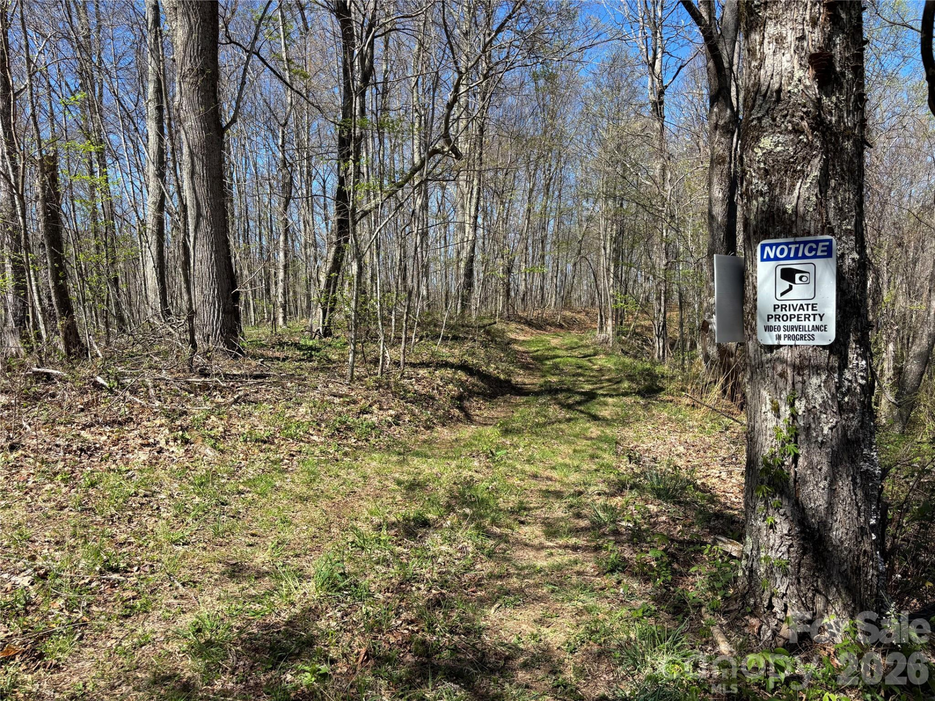 (West Lot) Meadow Fork Road - Photo 35