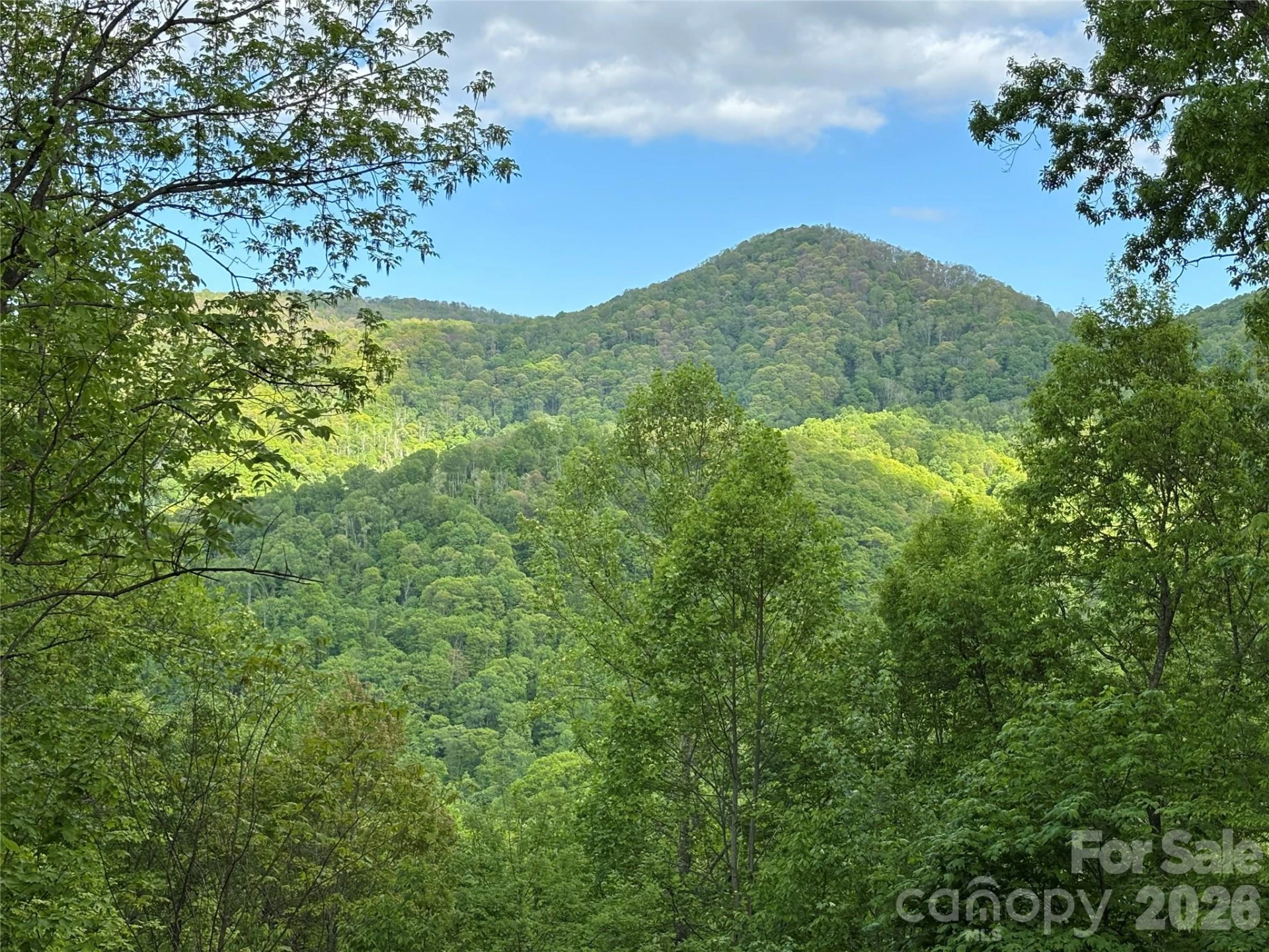 (West Lot) Meadow Fork Road - Photo 6