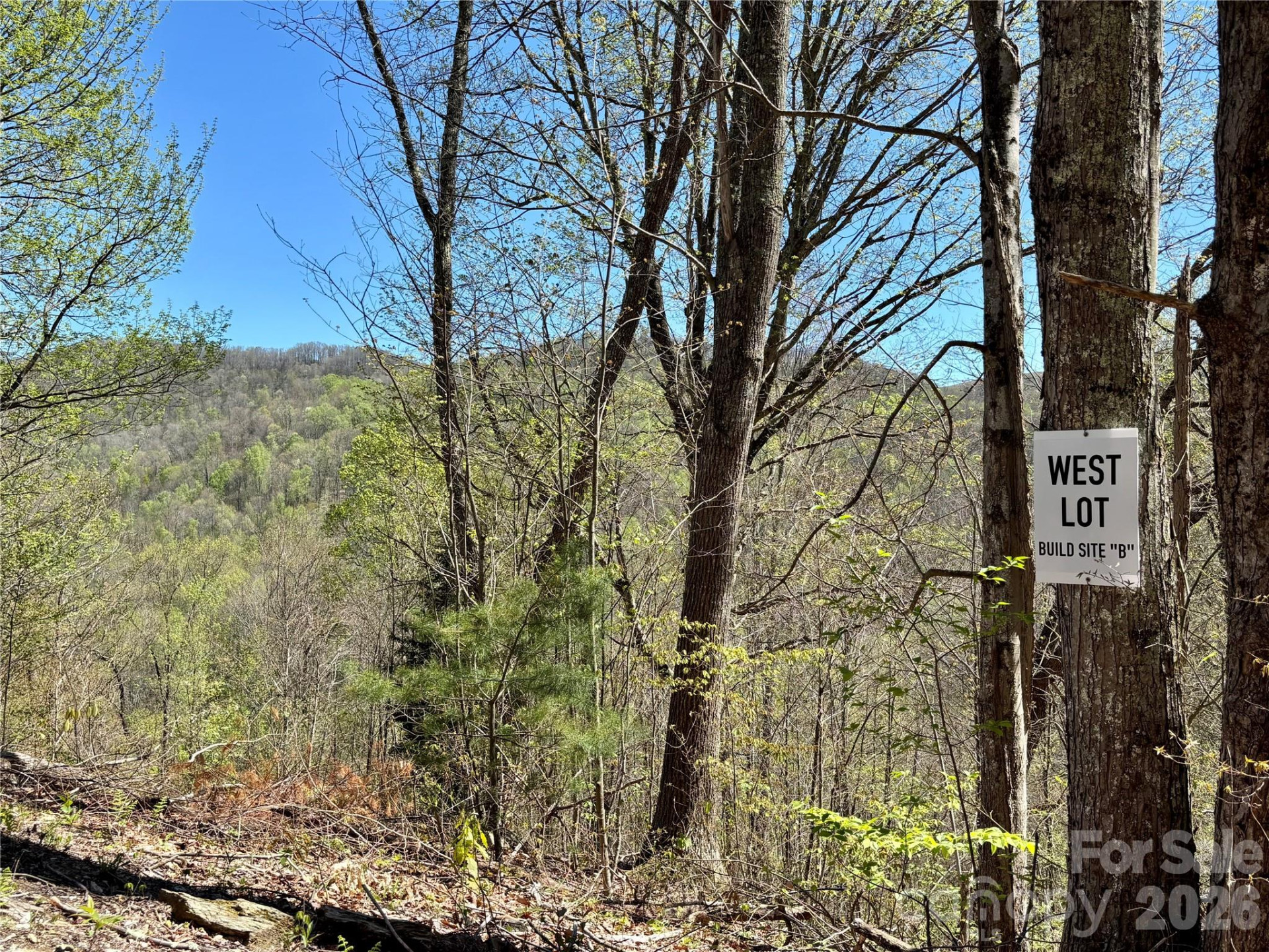 (West Lot) Meadow Fork Road - Photo 6