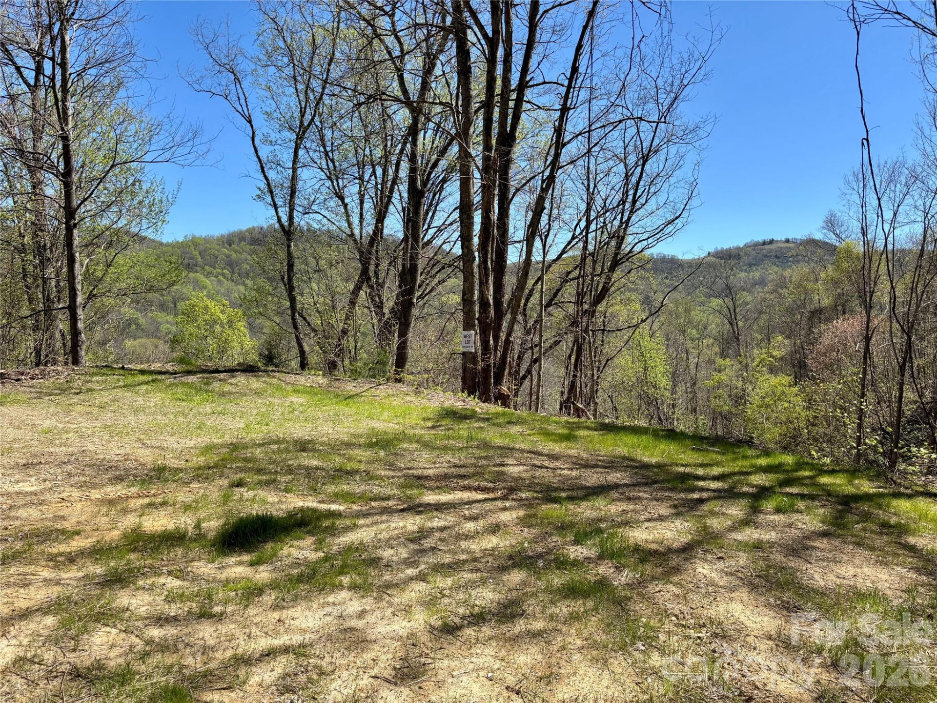 (West Lot) Meadow Fork Road - Photo 7