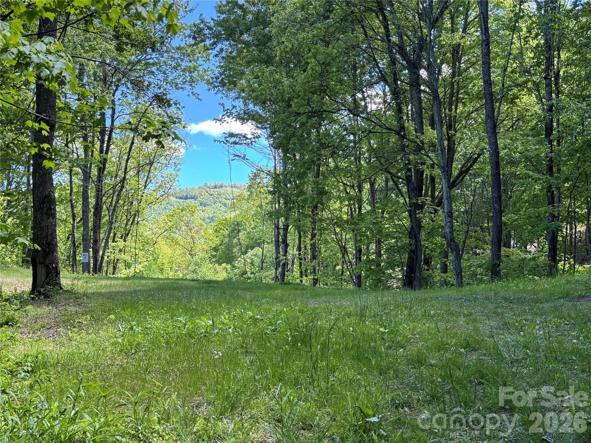 (West Lot) Meadow Fork Road - Photo 8