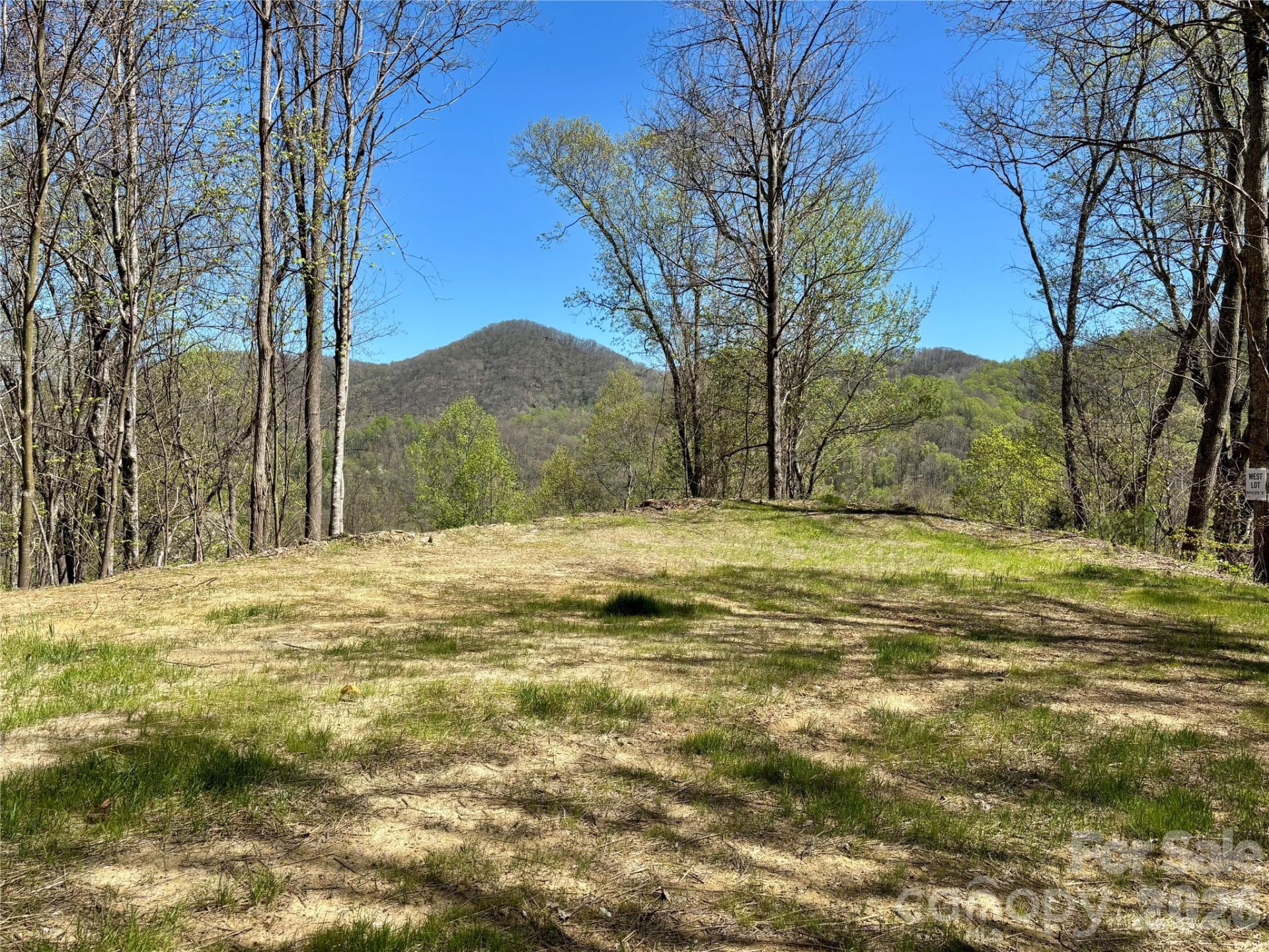 (West Lot) Meadow Fork Road - Photo 8