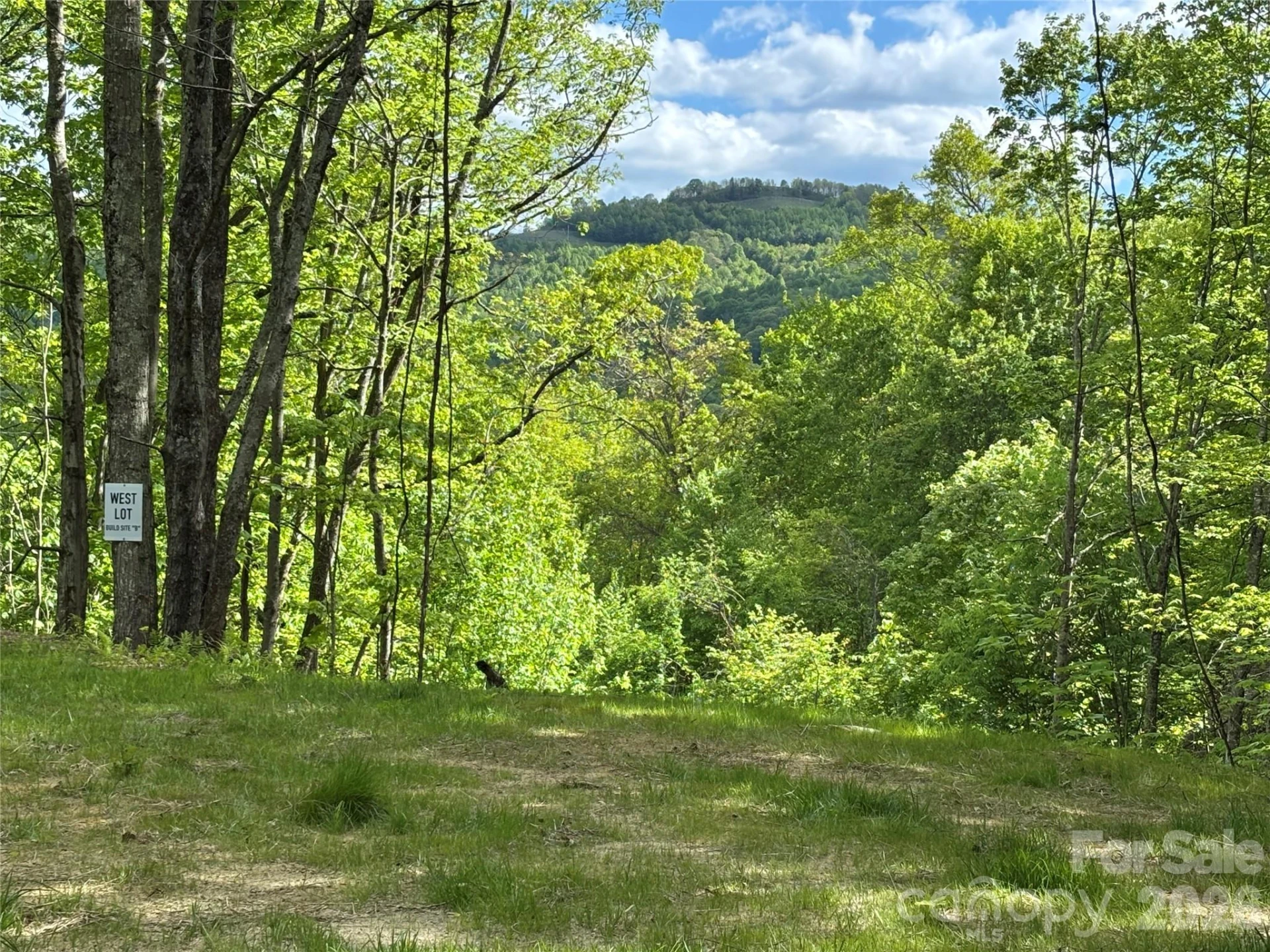 (West Lot) Meadow Fork Road - Photo 9