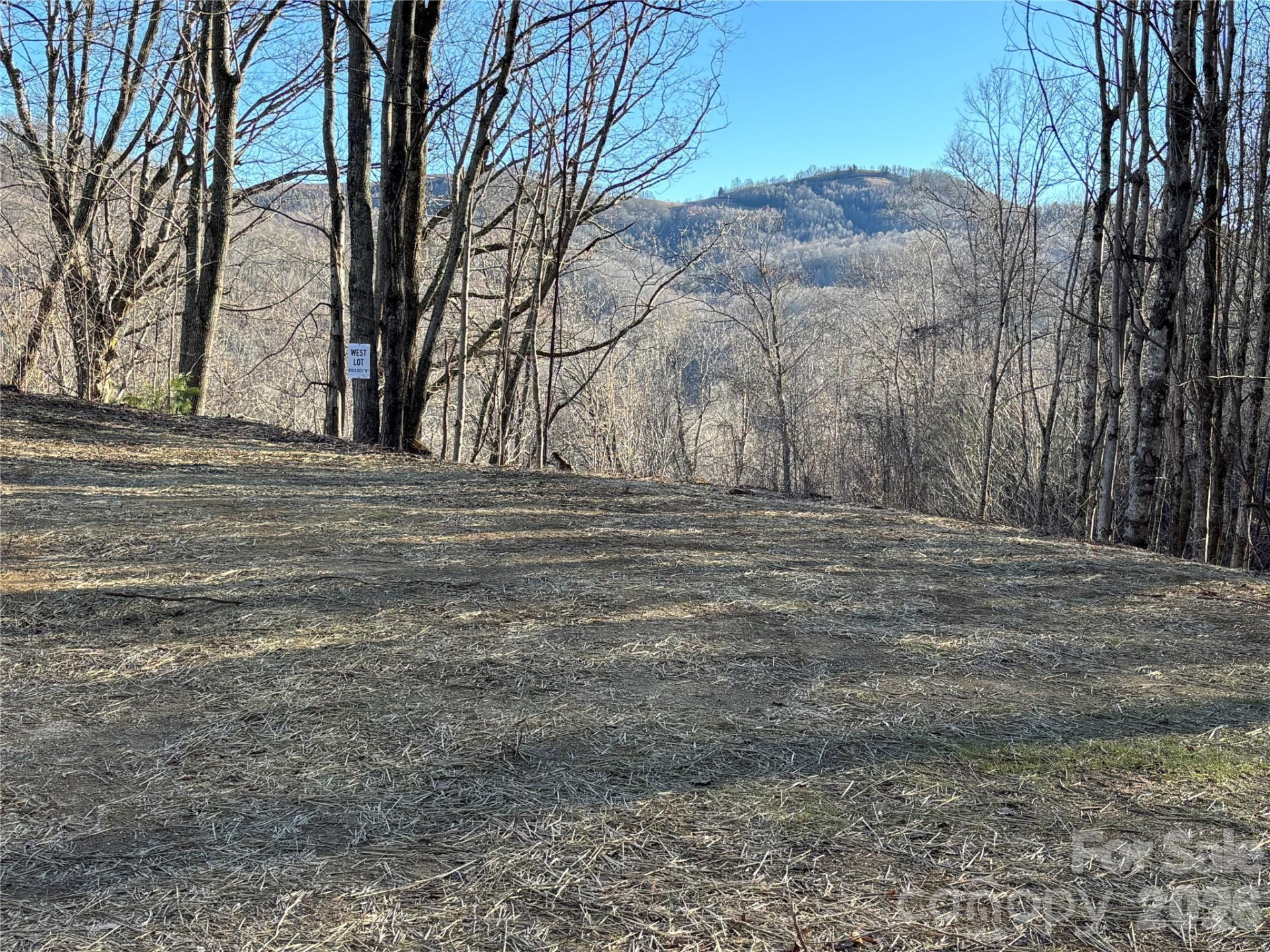 (West Lot) Meadow Fork Road - Photo 9