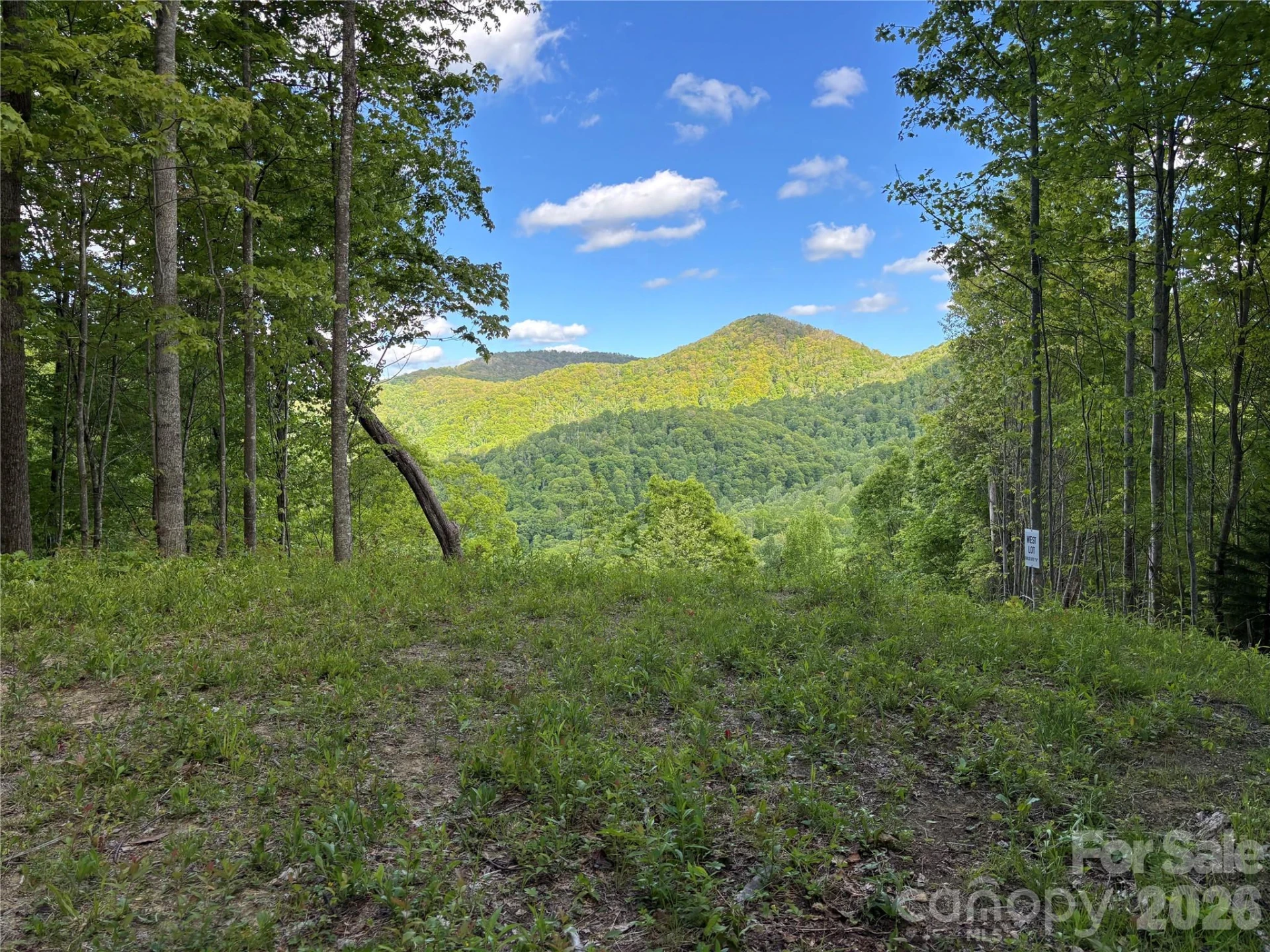 (West Lot) Meadow Fork Road - Photo 10