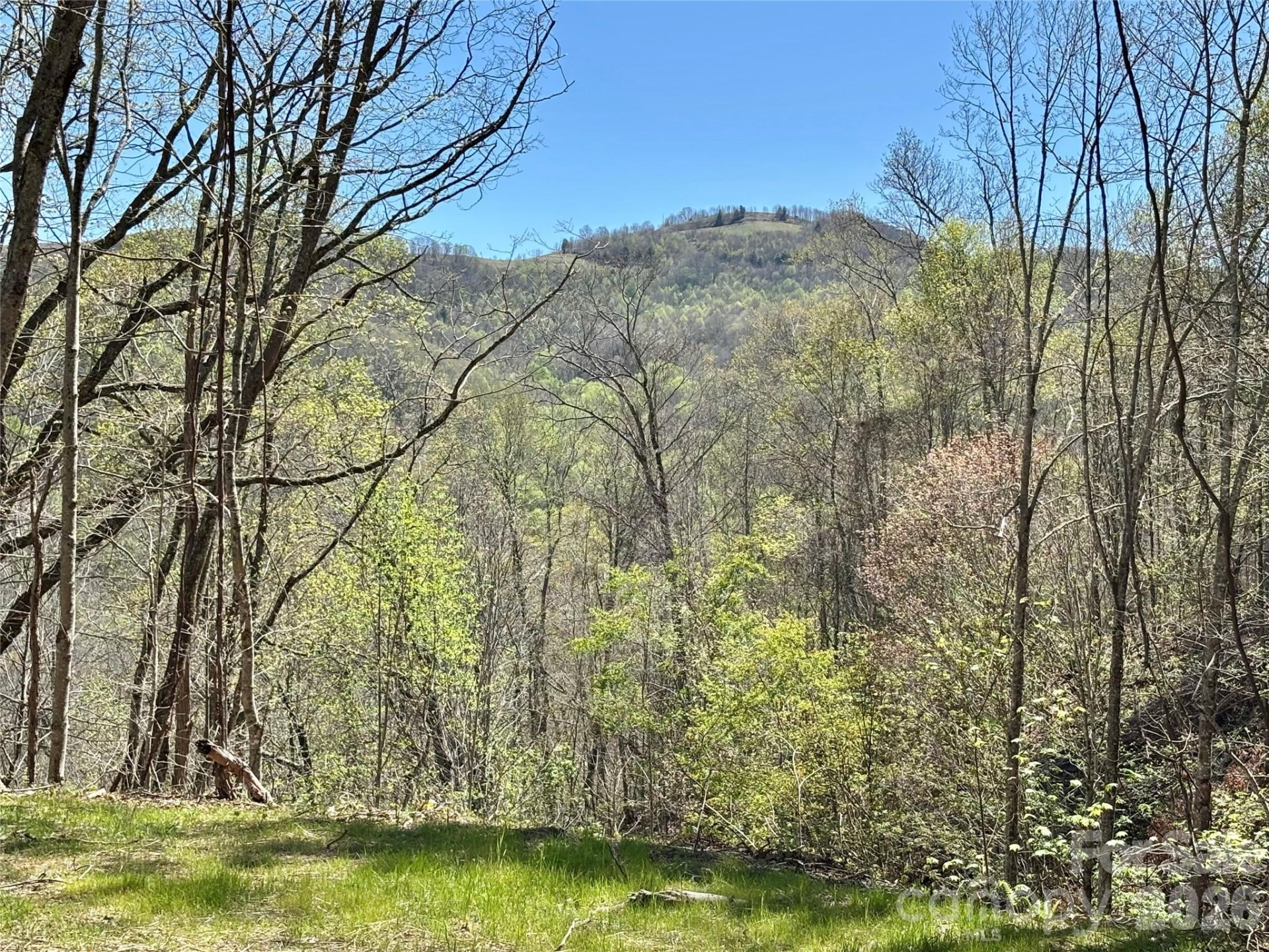 (West Lot) Meadow Fork Road - Photo 10