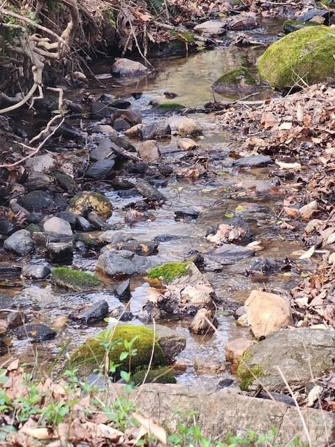 6611 Prysock Avenue - Photo 59