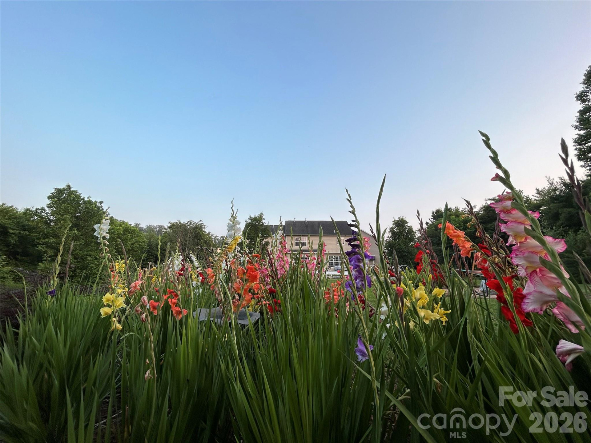 53 Stone River Drive - Photo 45