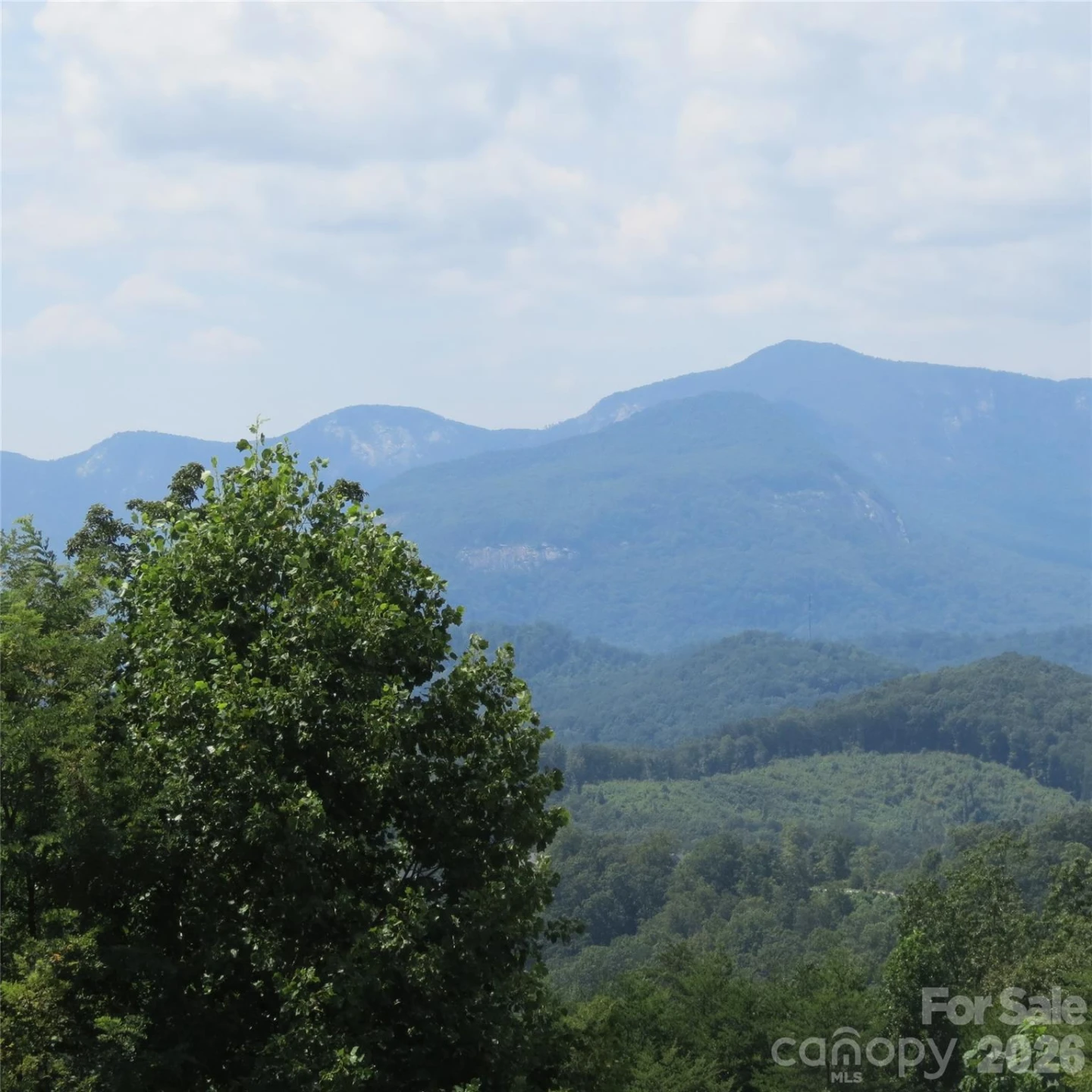 336 Willow Top Lane #336 - Photo 2