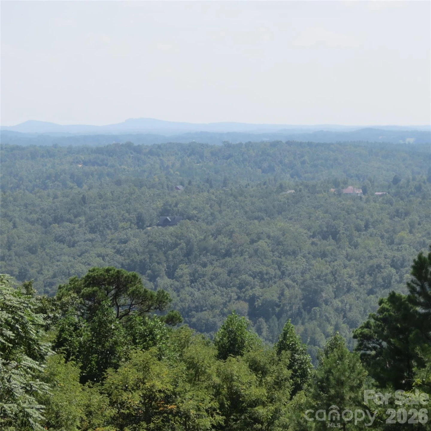 336 Willow Top Lane #336 - Photo 16