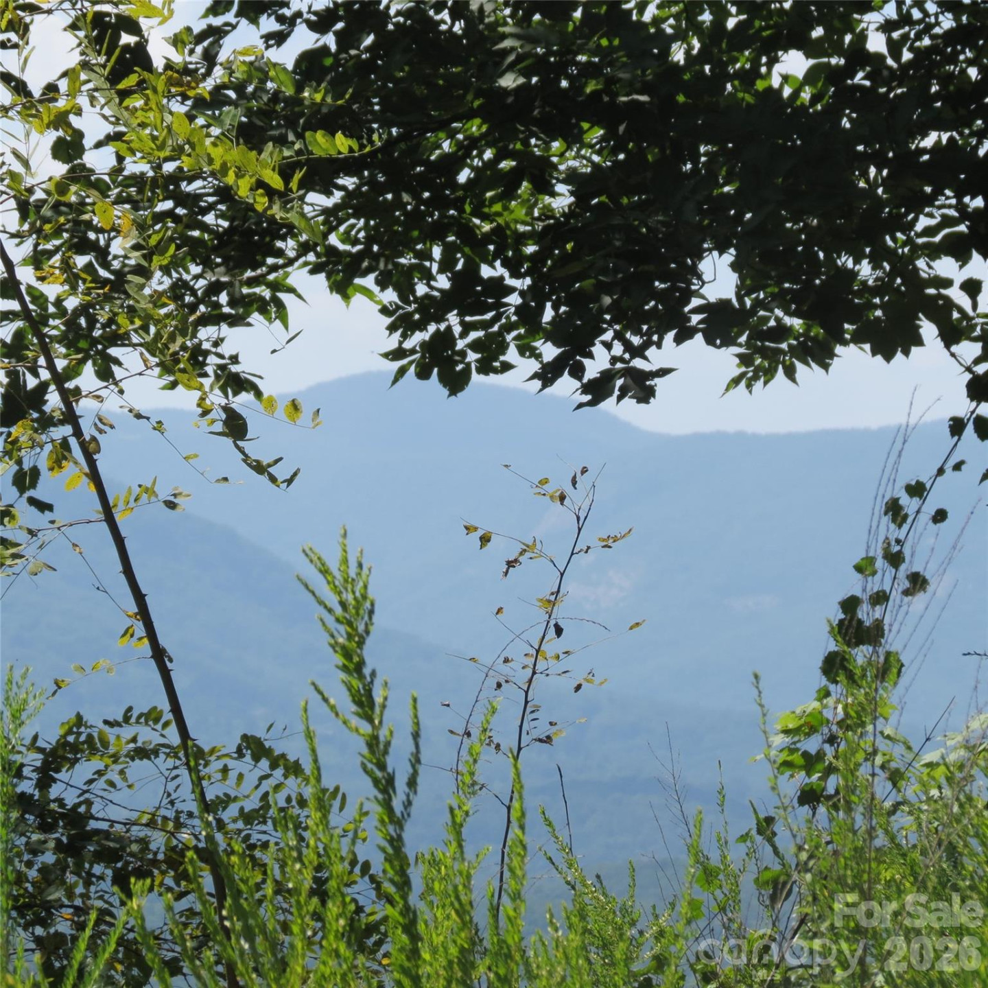 336 Willow Top Lane #336 - Photo 17