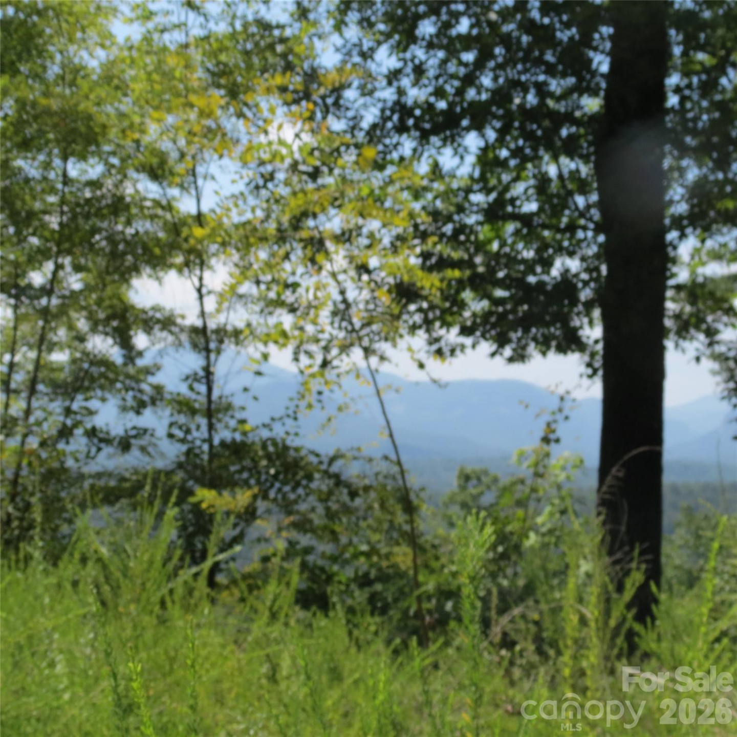 336 Willow Top Lane #336 - Photo 18