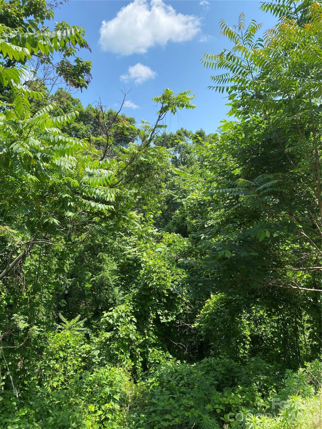 336 Willow Top Lane #336 - Photo 3