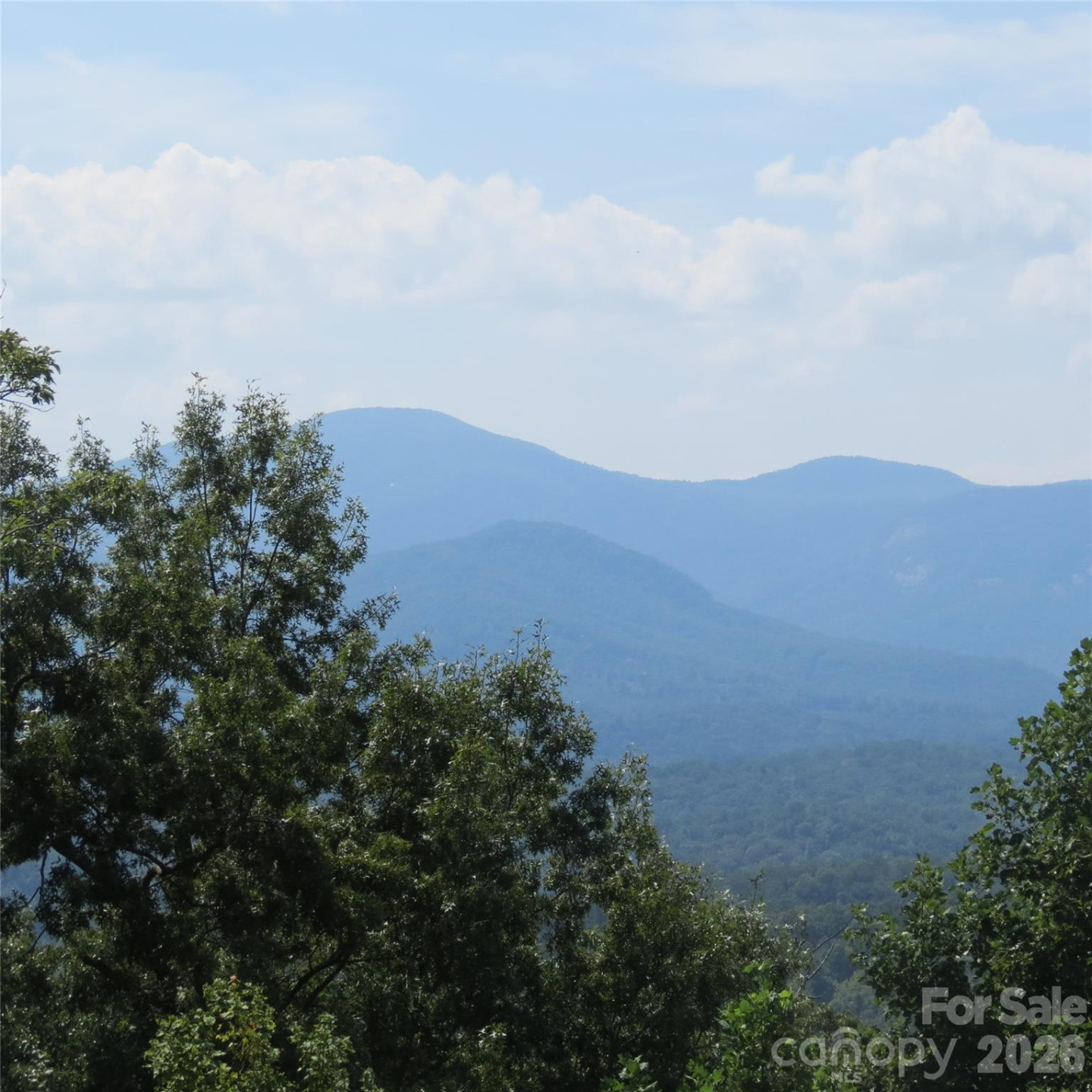 336 Willow Top Lane #336 - Photo 21