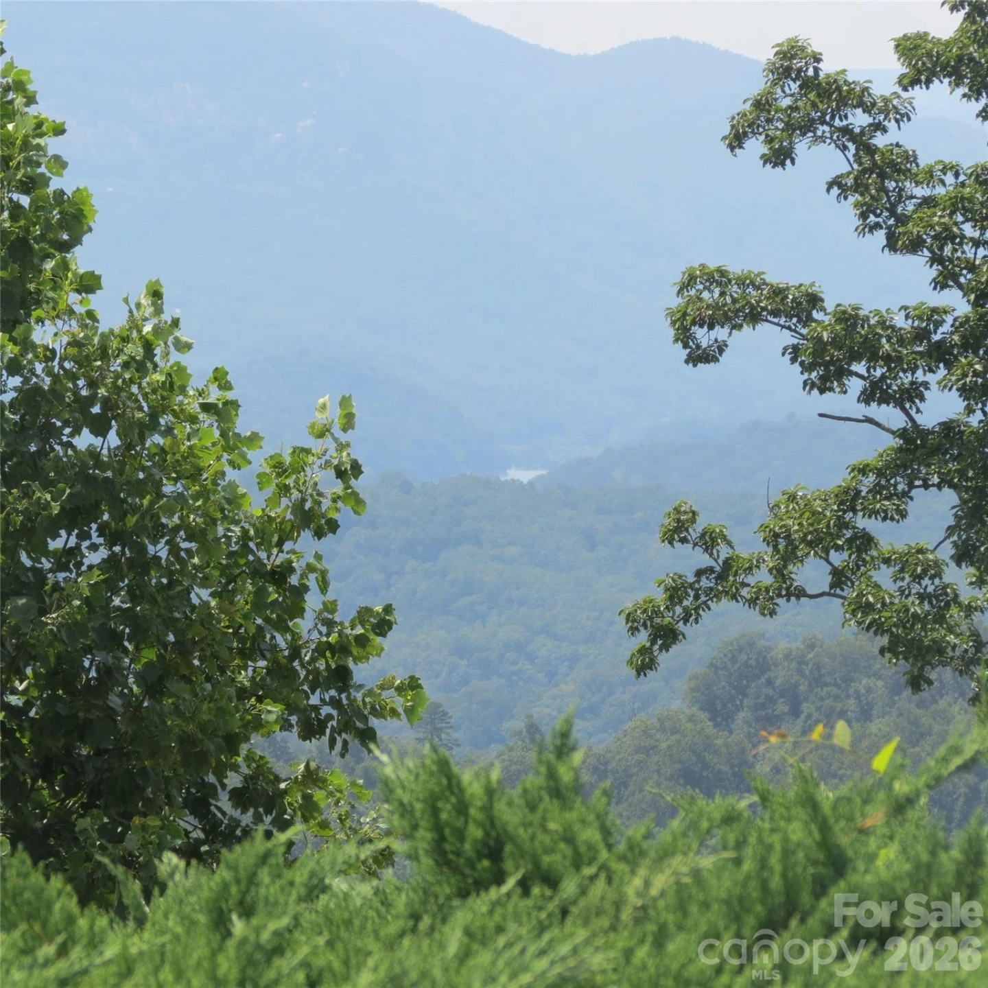 336 Willow Top Lane #336 - Photo 22
