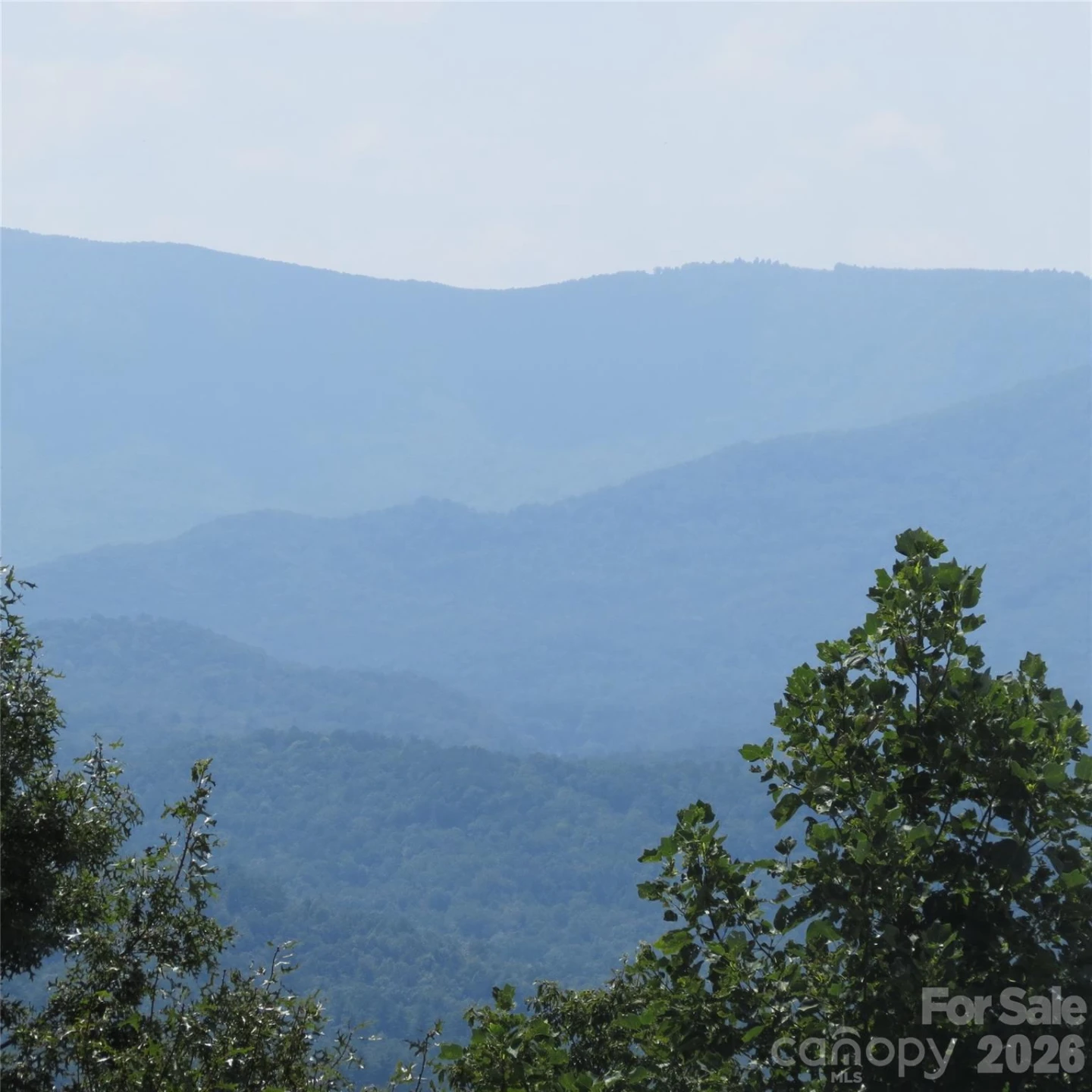 336 Willow Top Lane #336 - Photo 23