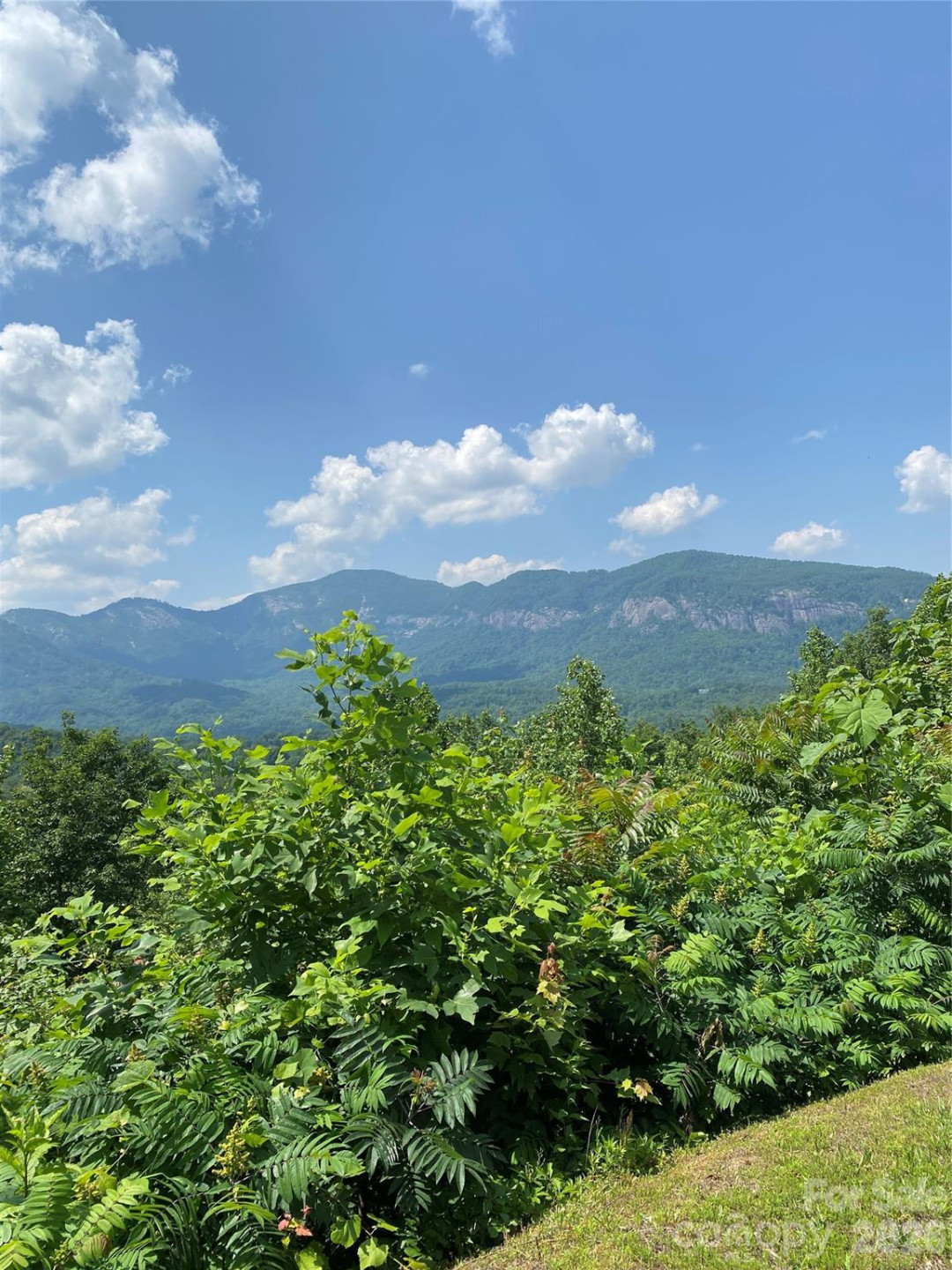 336 Willow Top Lane #336 - Photo 5