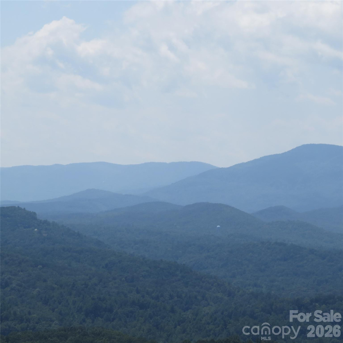 336 Willow Top Lane #336 - Photo 7