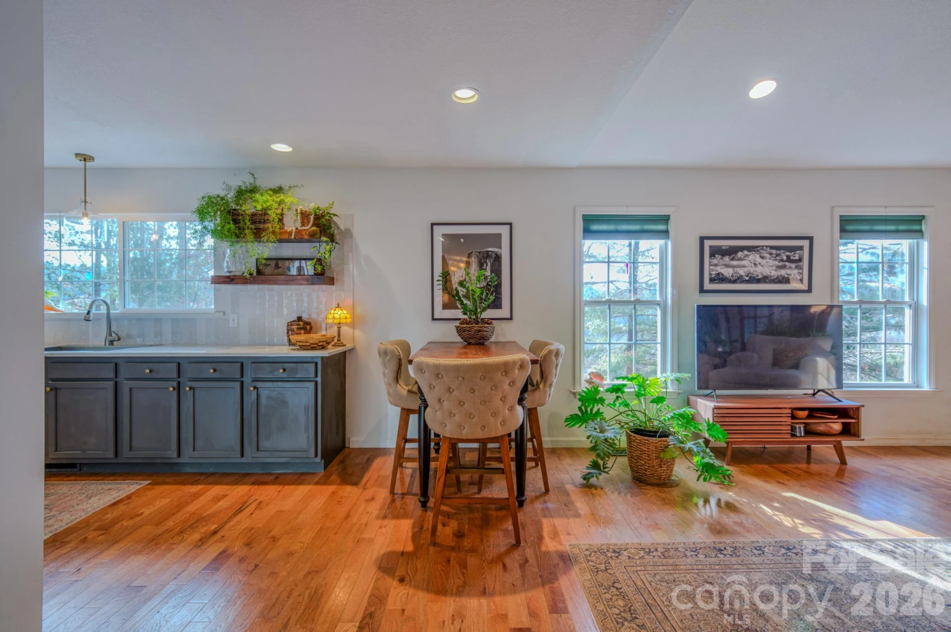 242 Meadow Lane - Photo 5