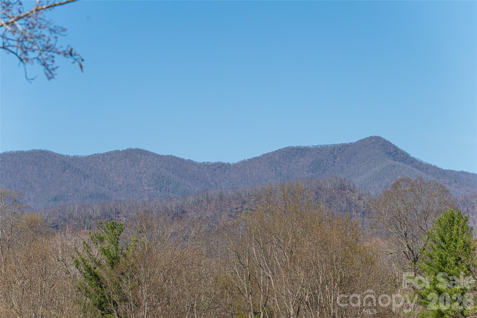 162 Riverbend Forest Drive - Photo 4