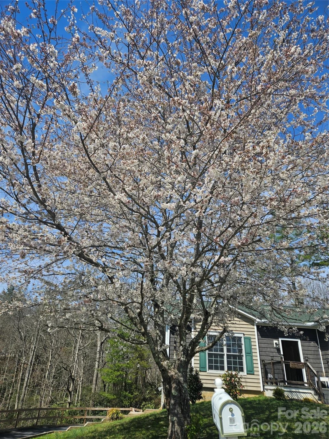 243 Scenic Ridge Drive - Photo 5