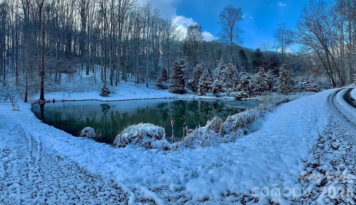 198 Brooks Branch Road - Photo 3