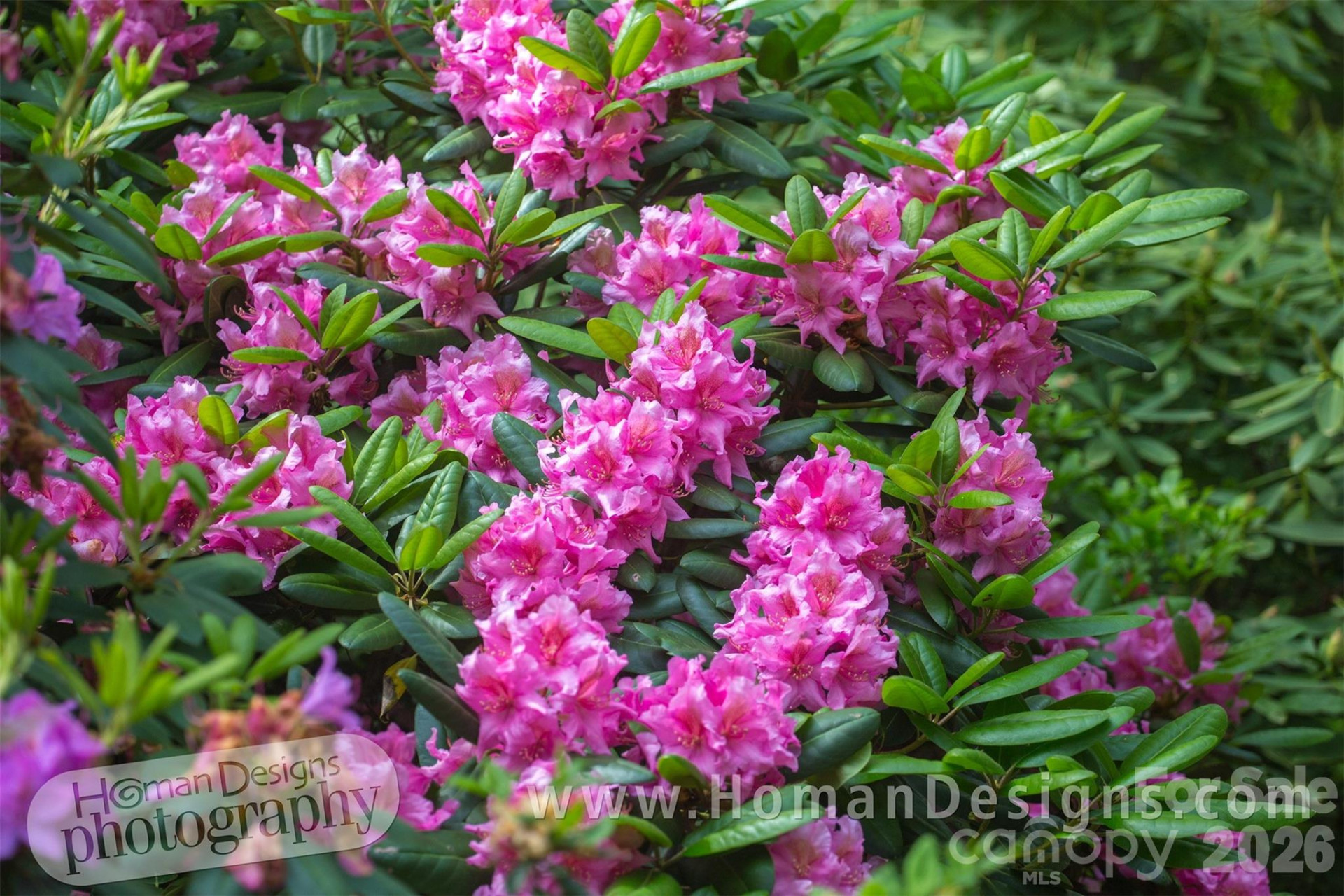 198 Brooks Branch Road - Photo 37