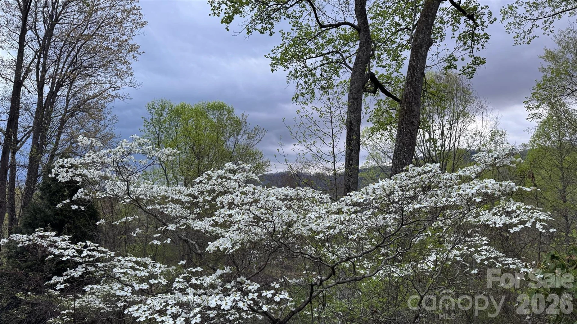 198 Brooks Branch Road - Photo 8