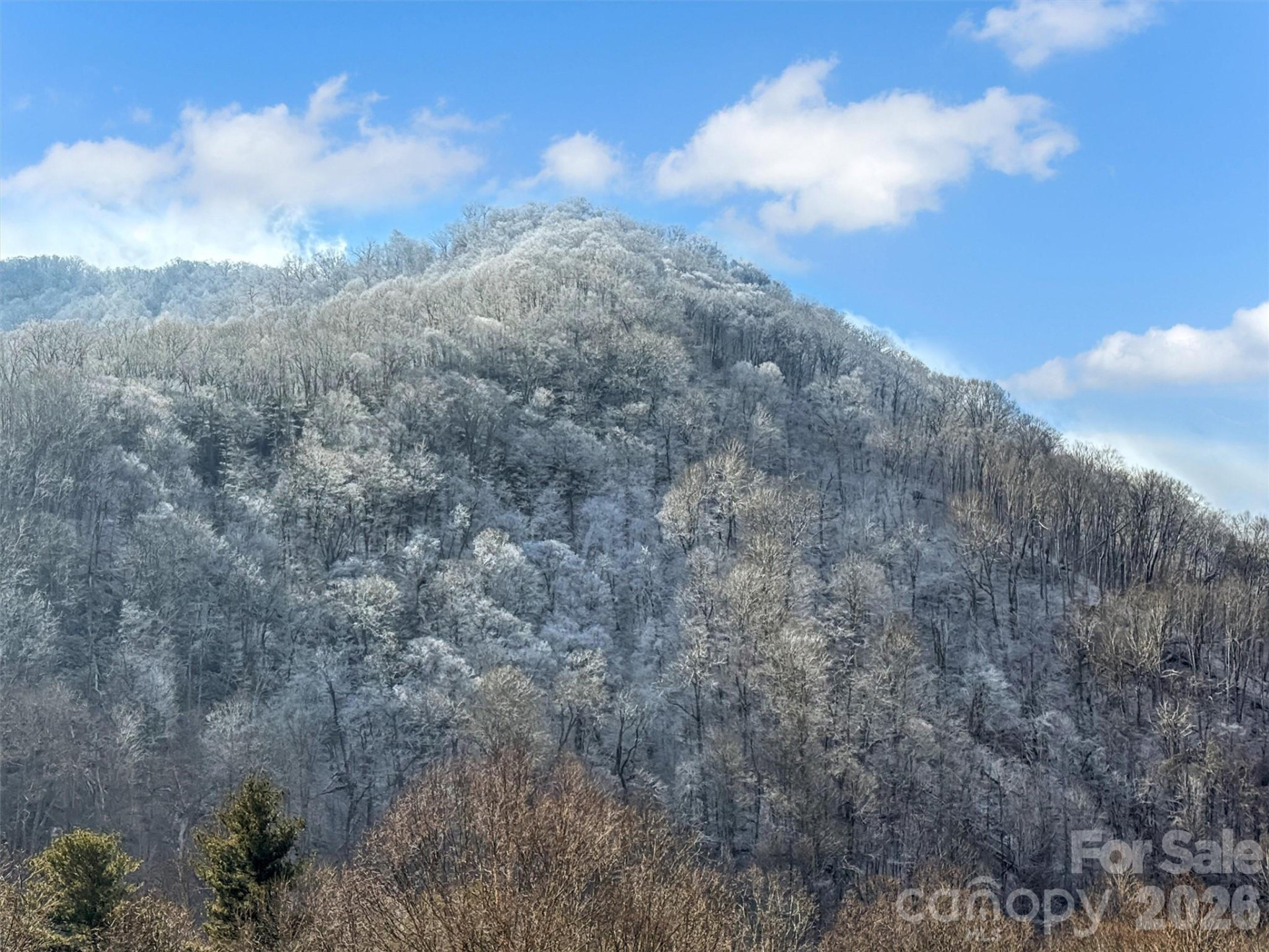 24 Hawthorn Road - Photo 4