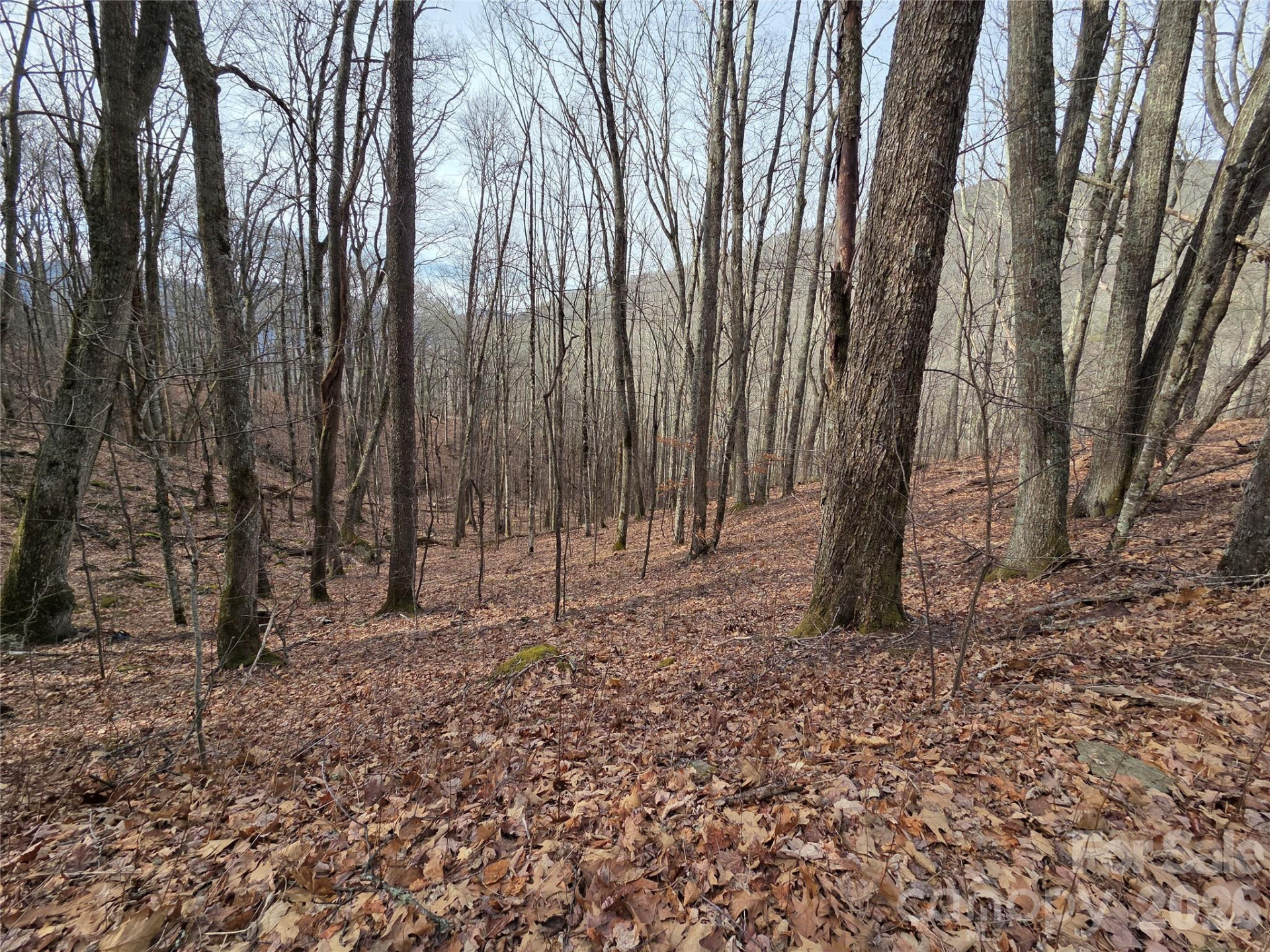 180 Goat House Way - Photo 2