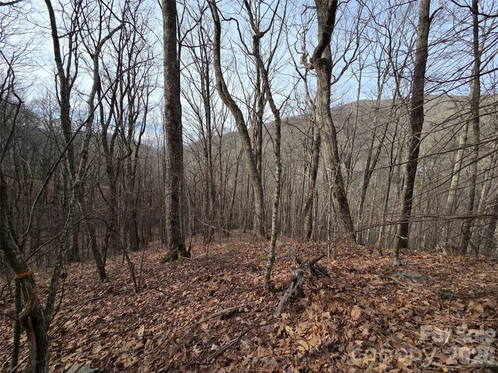 180 Goat House Way - Photo 12