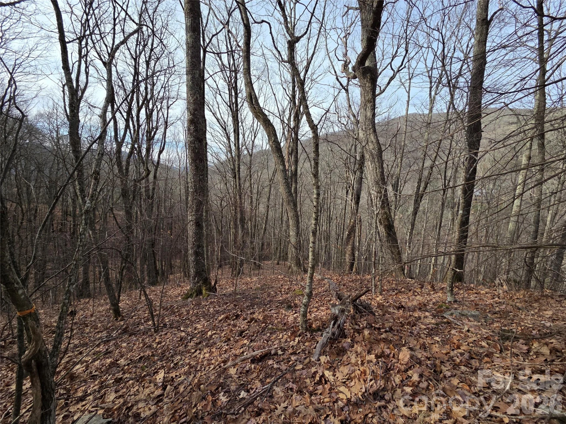 180 Goat House Way - Photo 12