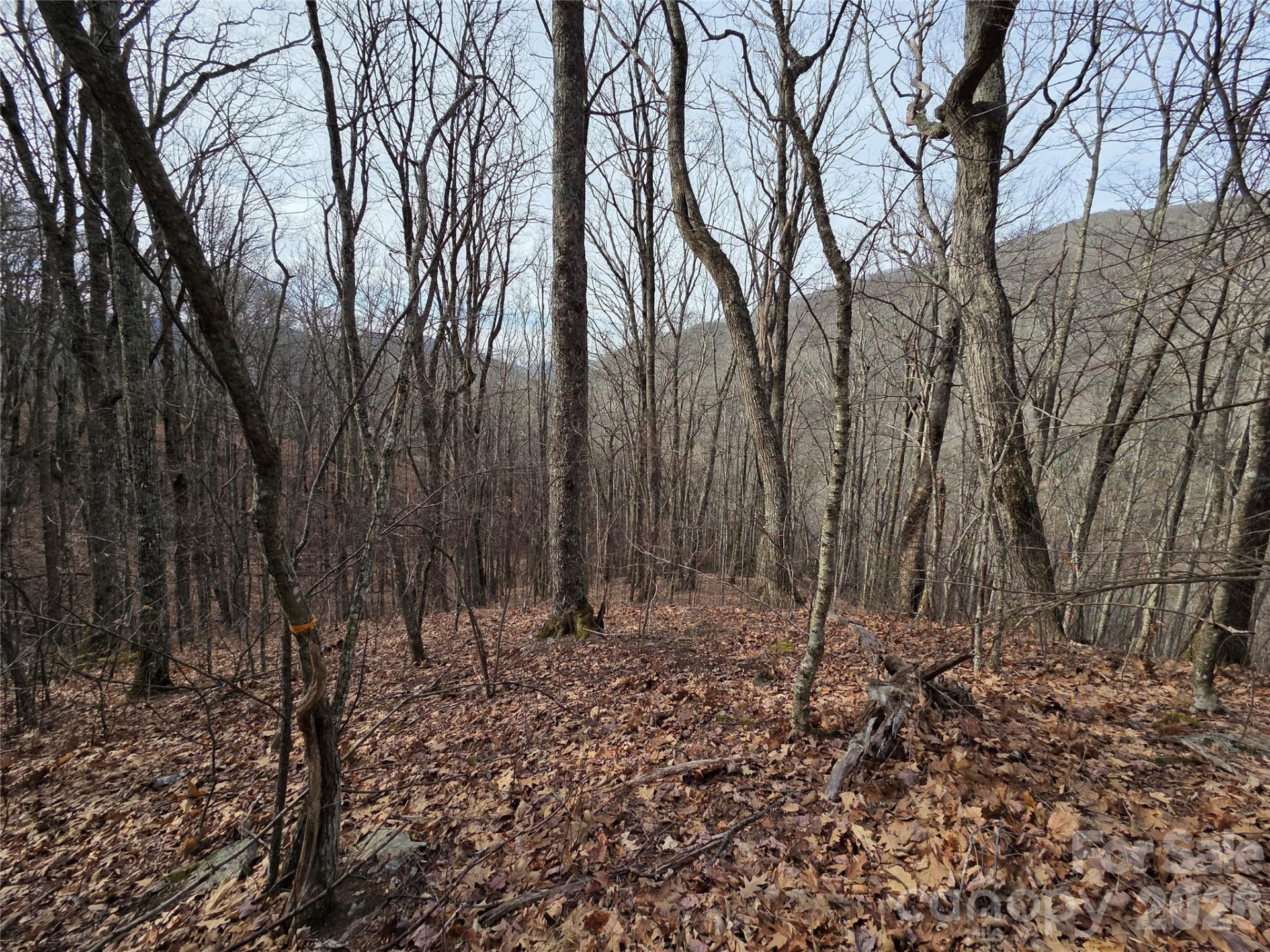 180 Goat House Way - Photo 13