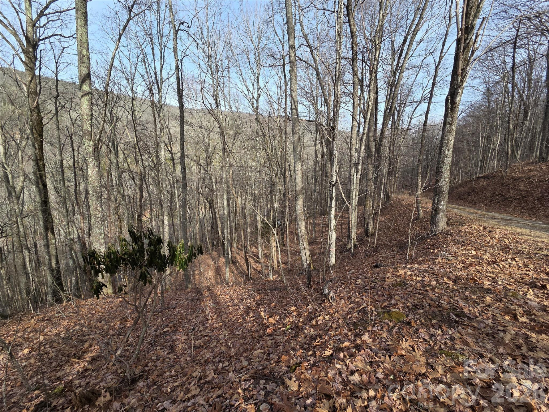 180 Goat House Way - Photo 14