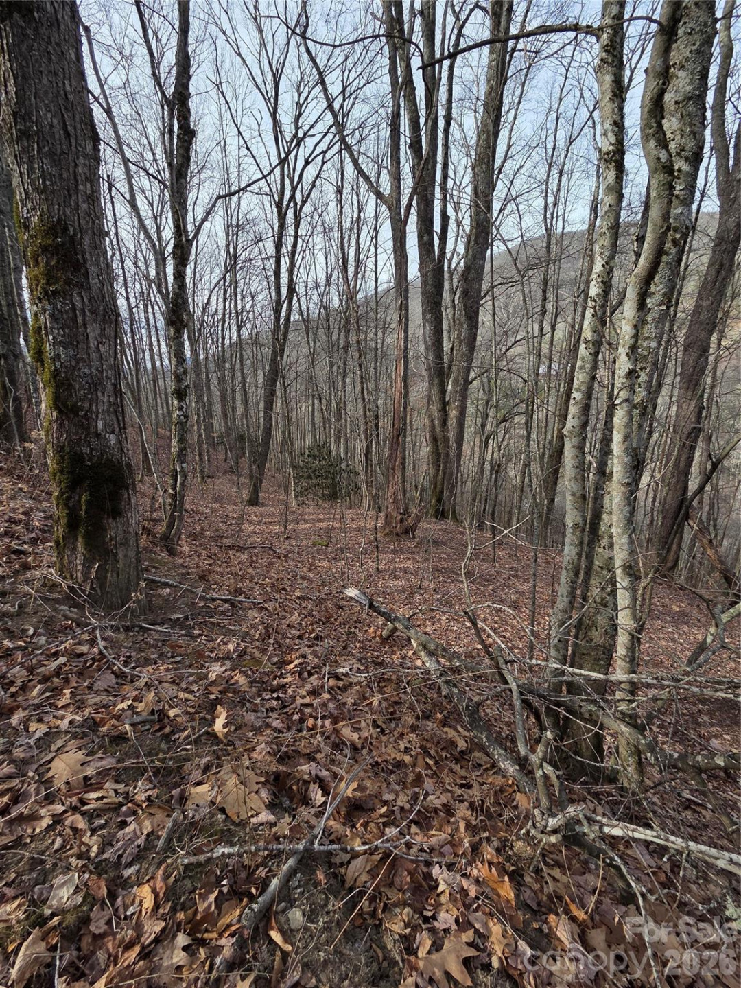 180 Goat House Way - Photo 15