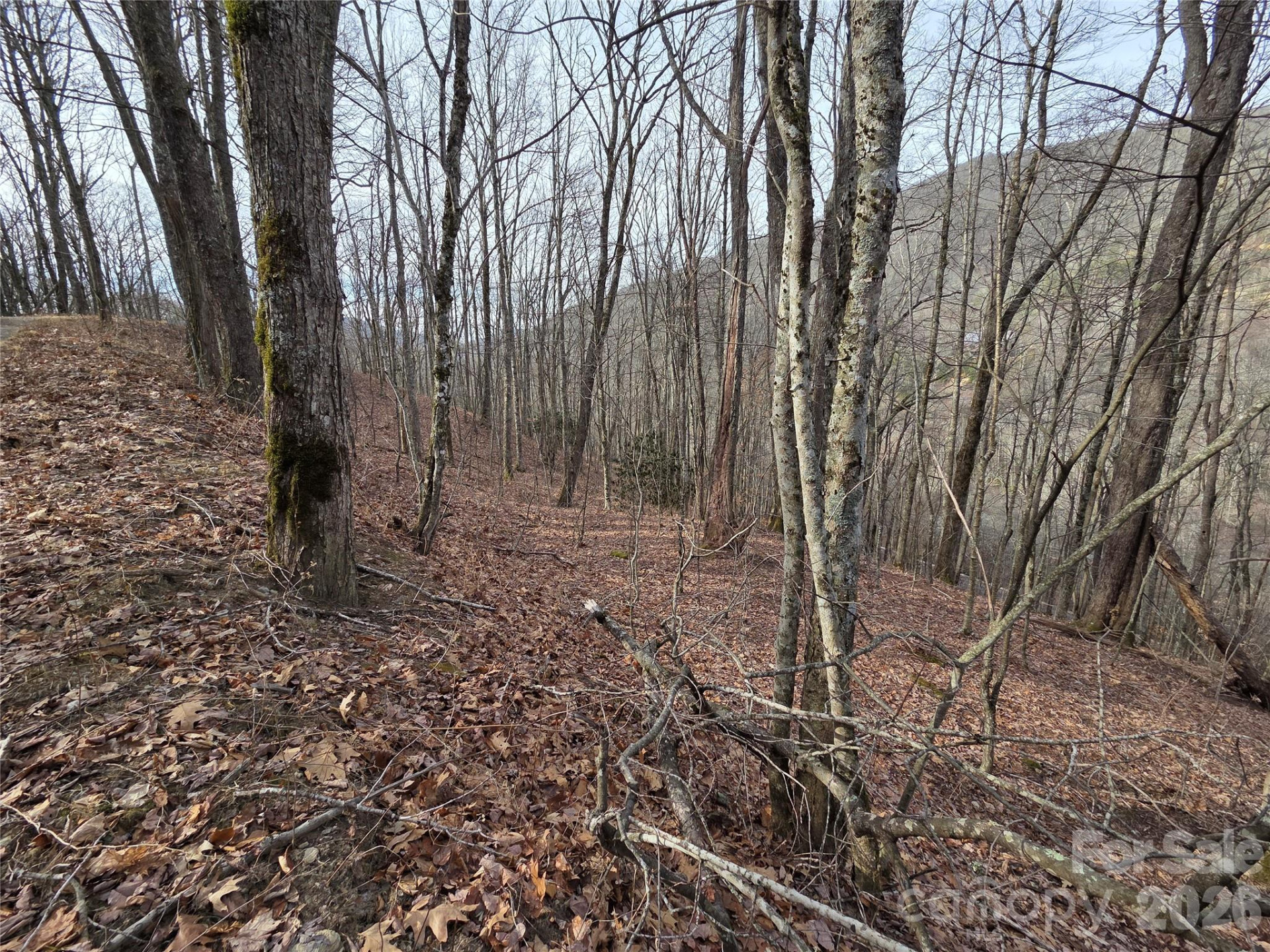 180 Goat House Way - Photo 16