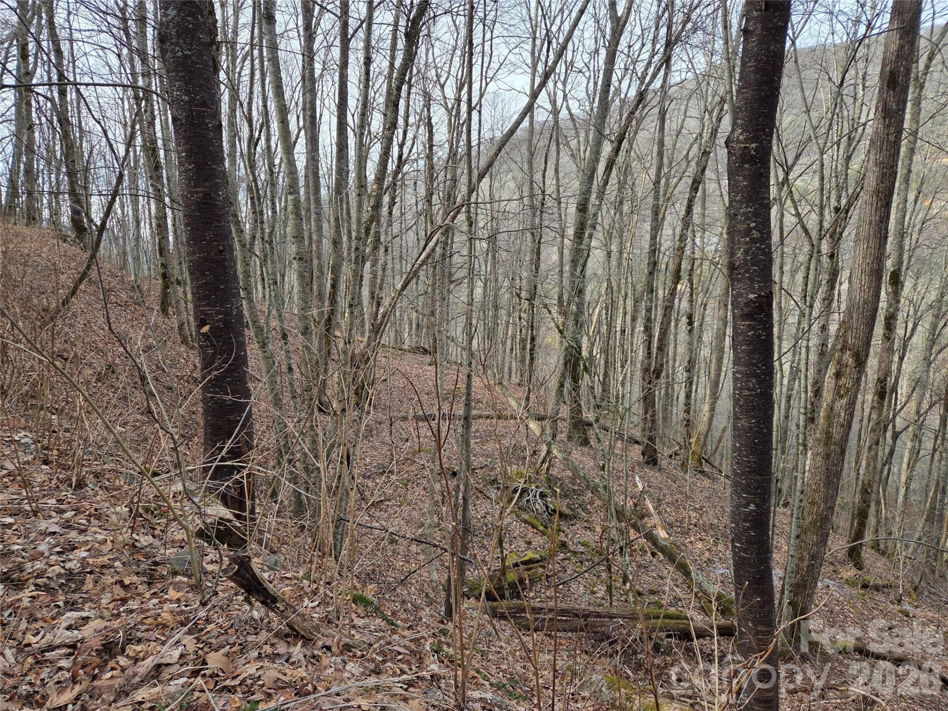 180 Goat House Way - Photo 4