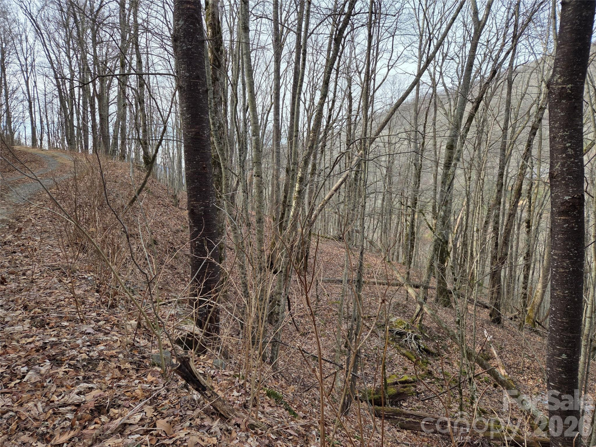 180 Goat House Way - Photo 6