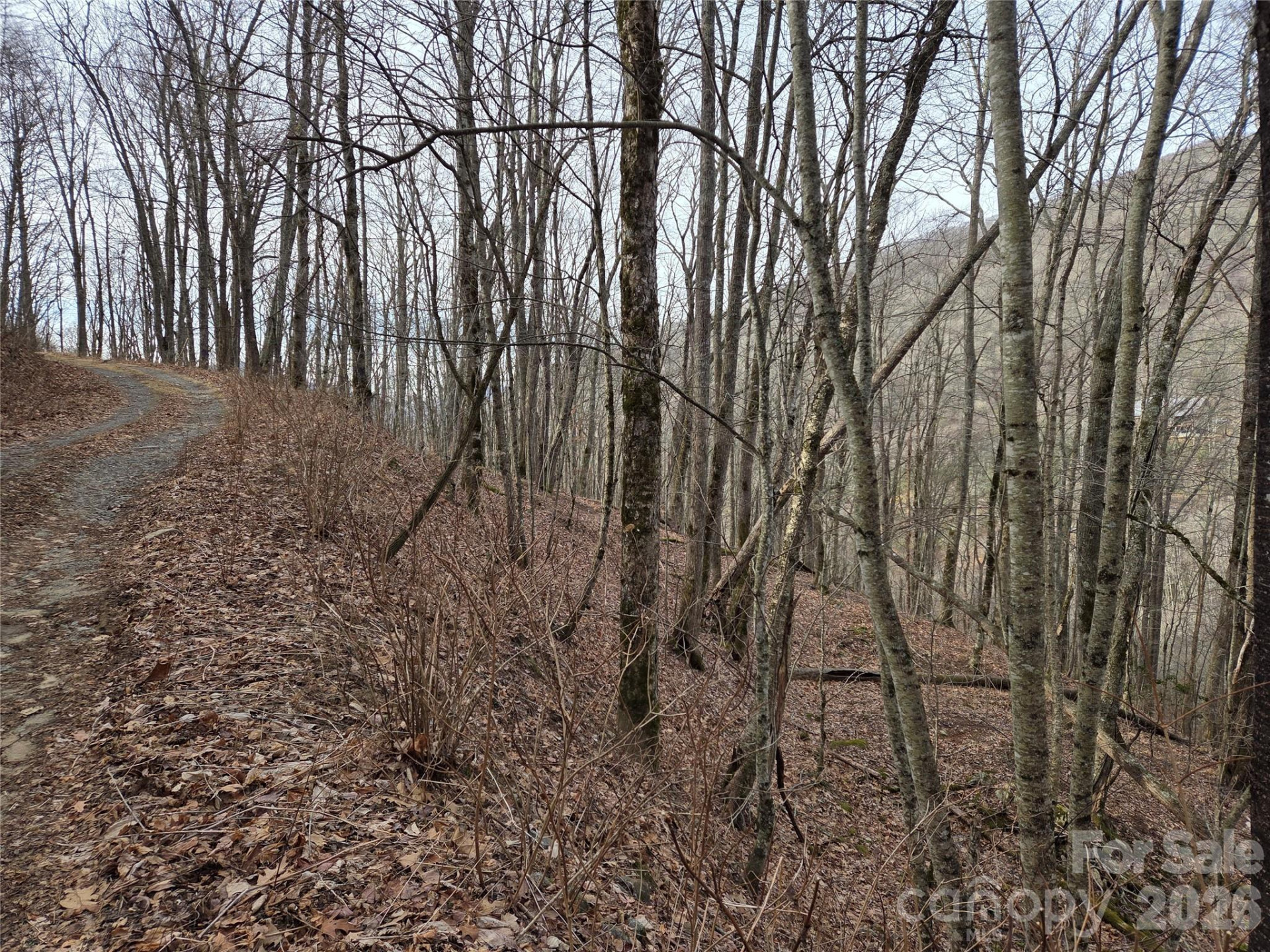 180 Goat House Way - Photo 7