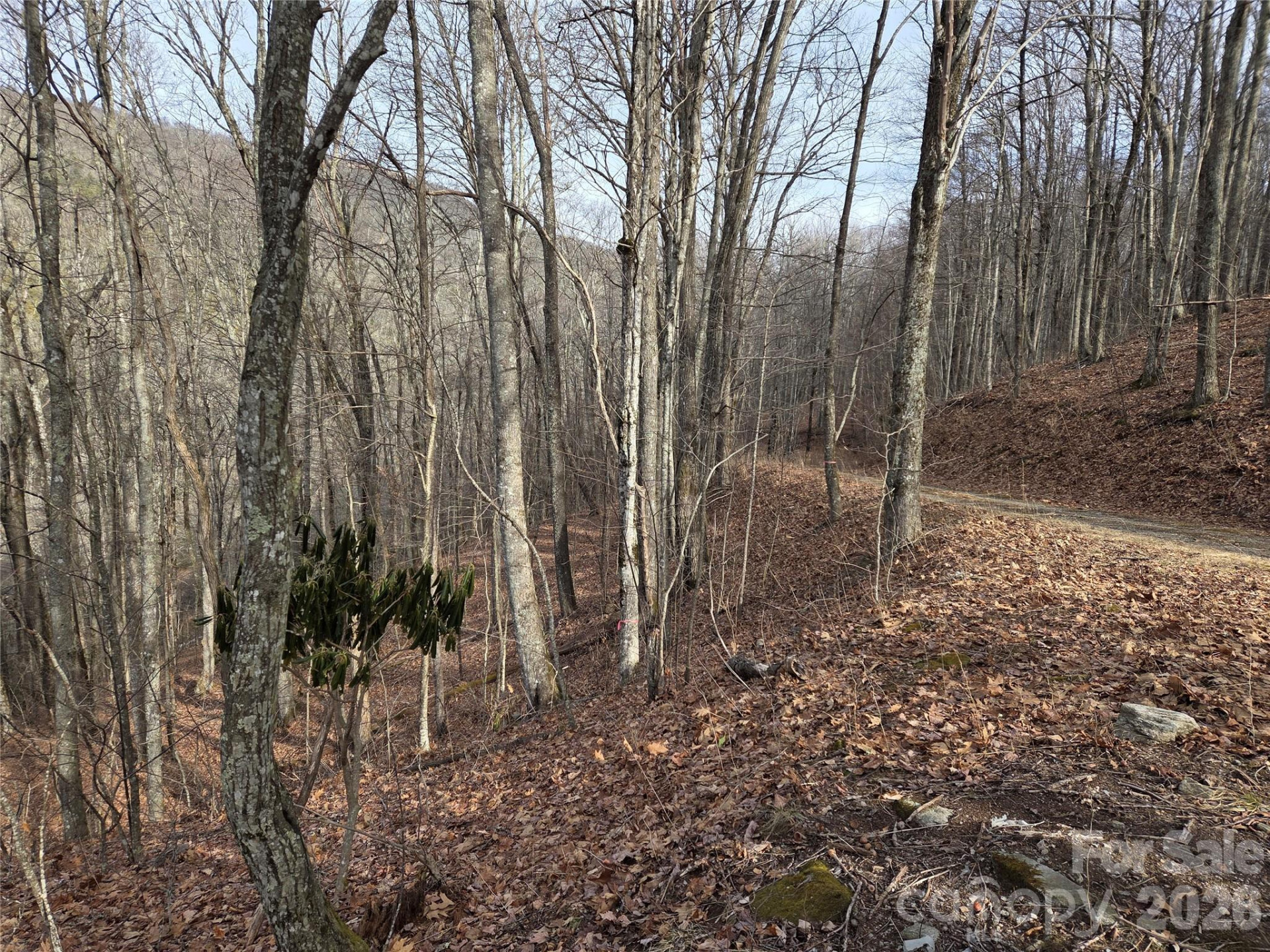 180 Goat House Way - Photo 8