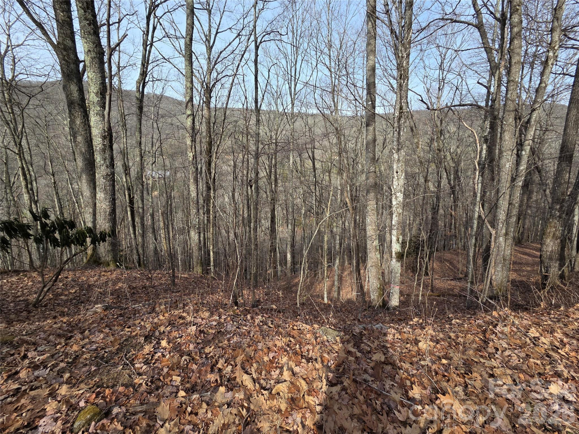 180 Goat House Way - Photo 9