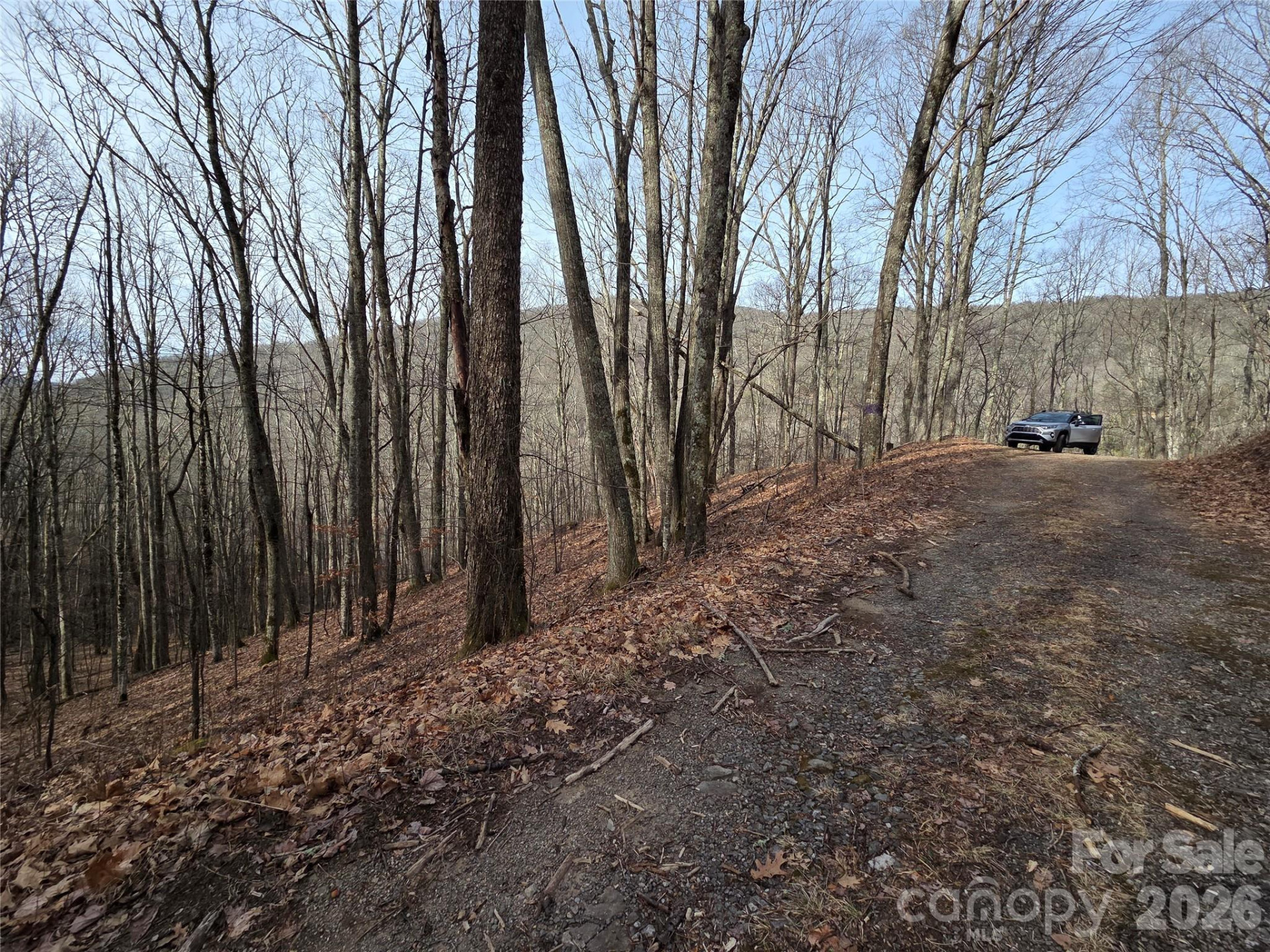 180 Goat House Way - Photo 10