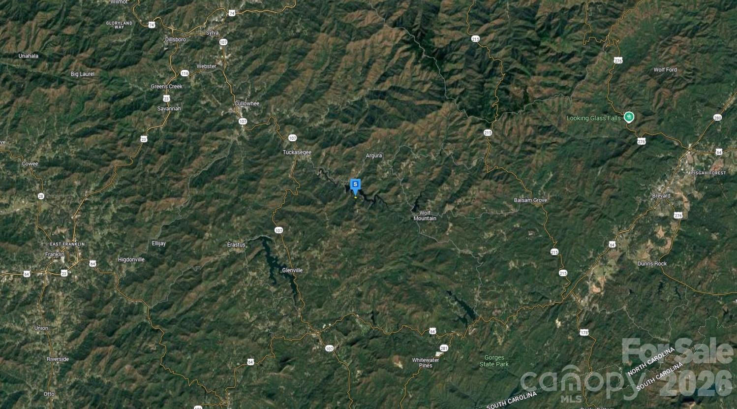 243 Cross Vine Drive - Photo 4