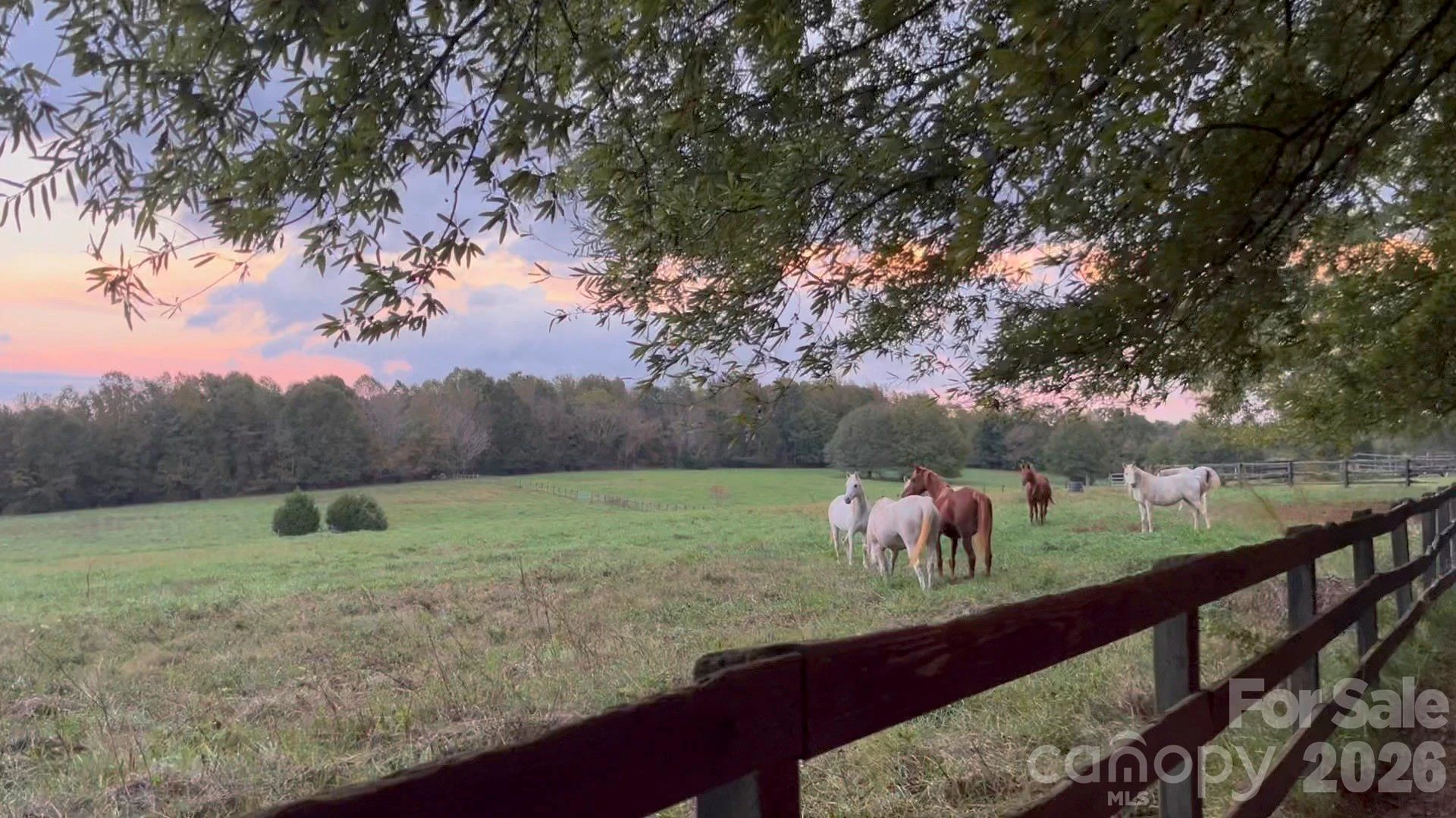 550 River Road - Photo 40