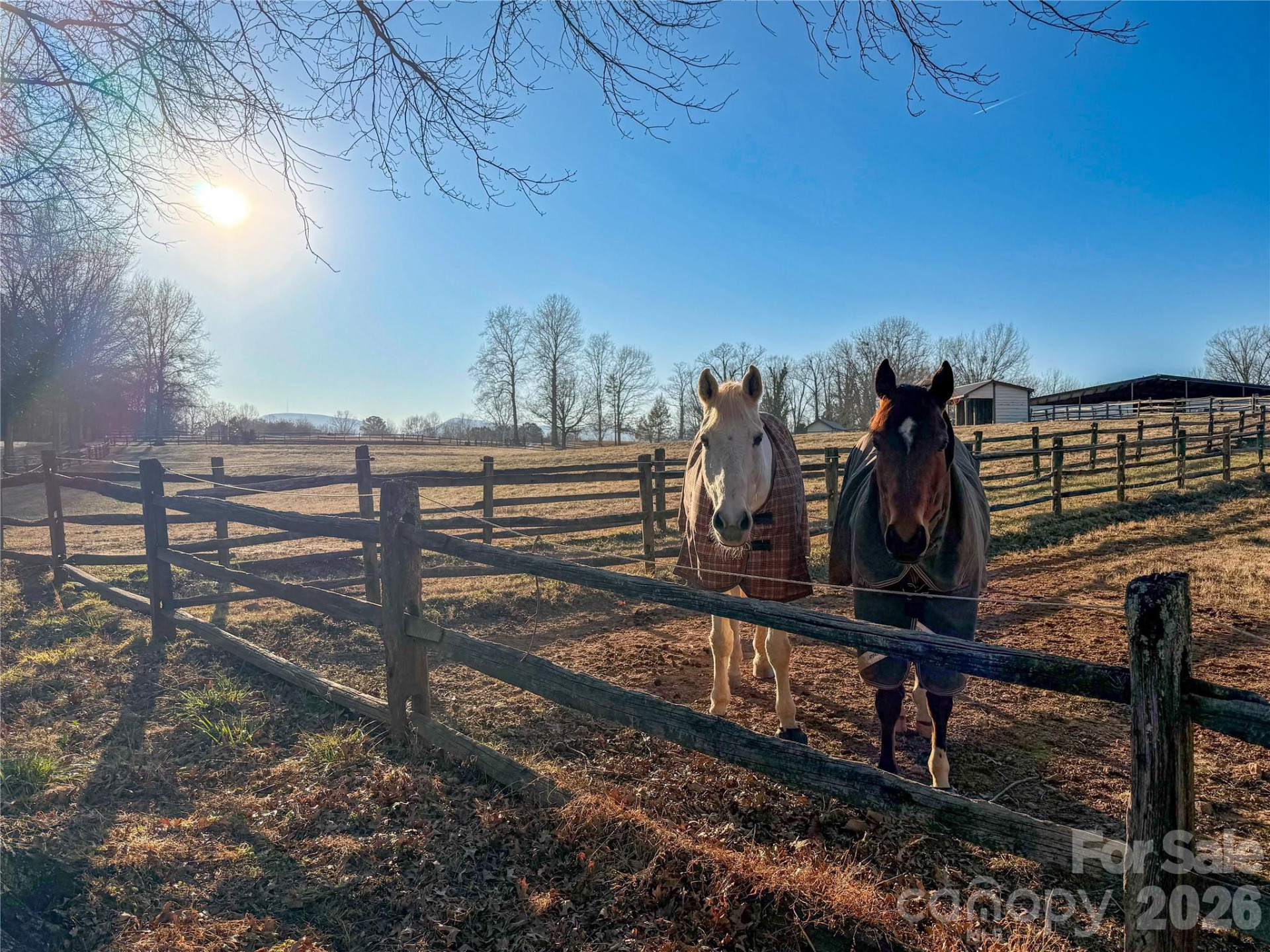 550 River Road - Photo 46
