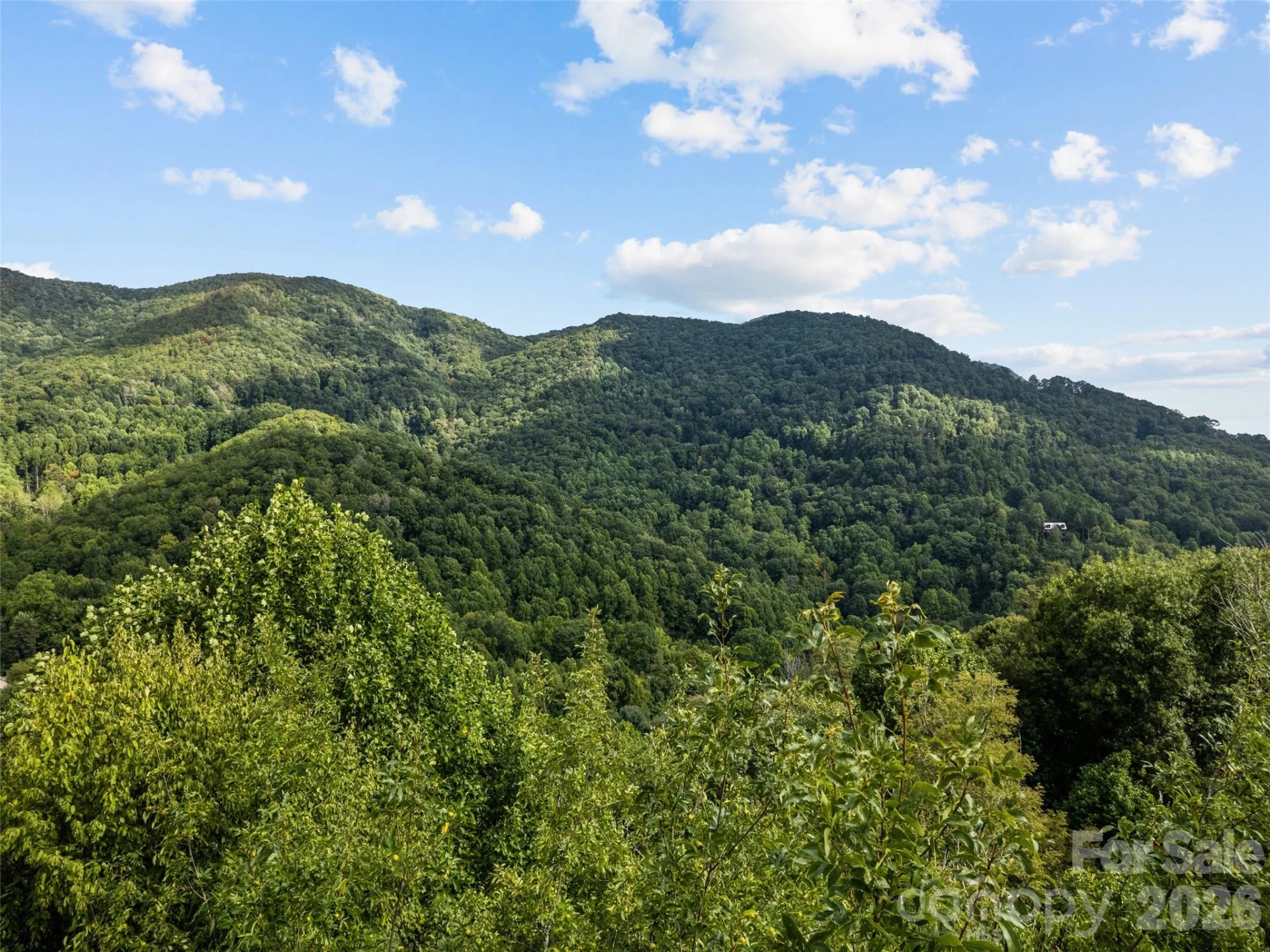 Lot 12 Bow N Arrow Cove - Photo 3
